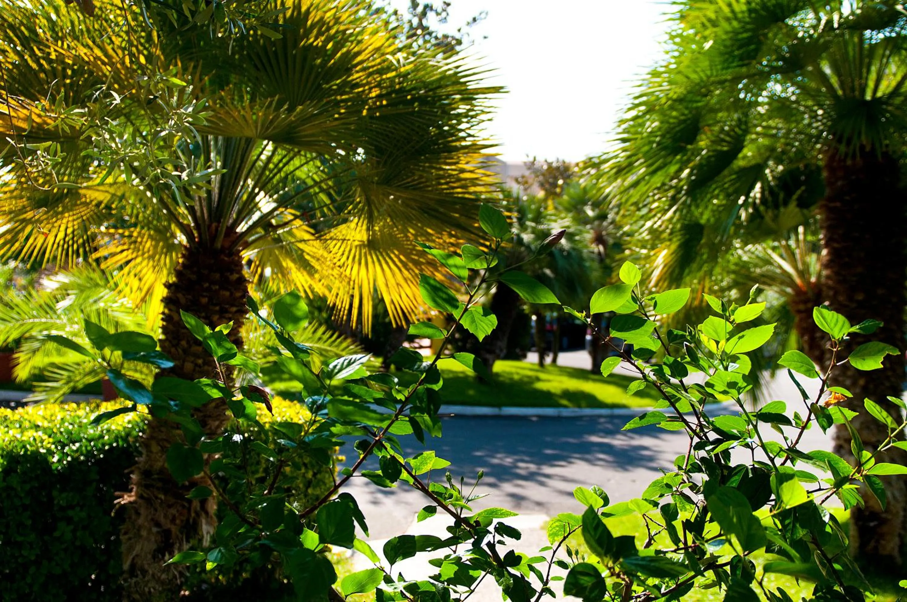 Area and facilities in Diano Sporting Apartments