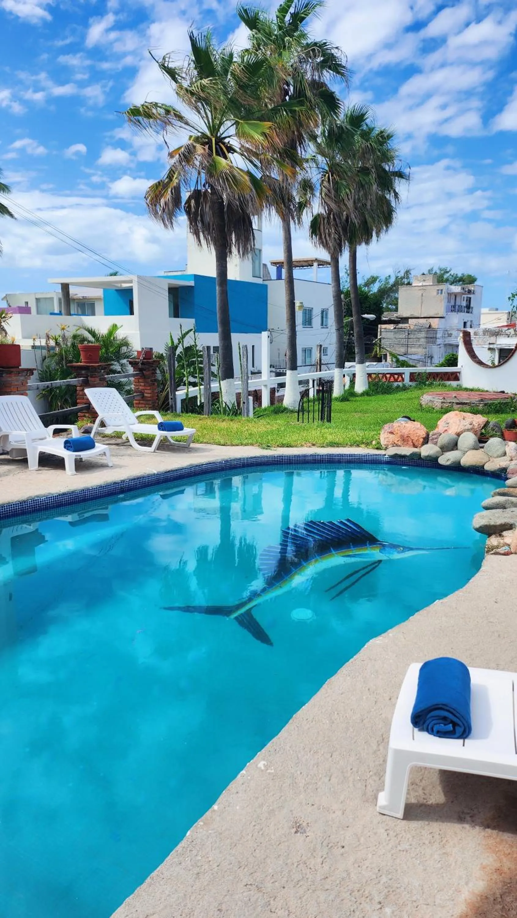 Garden in Hill House Mazatlan - Bed & Breakfast