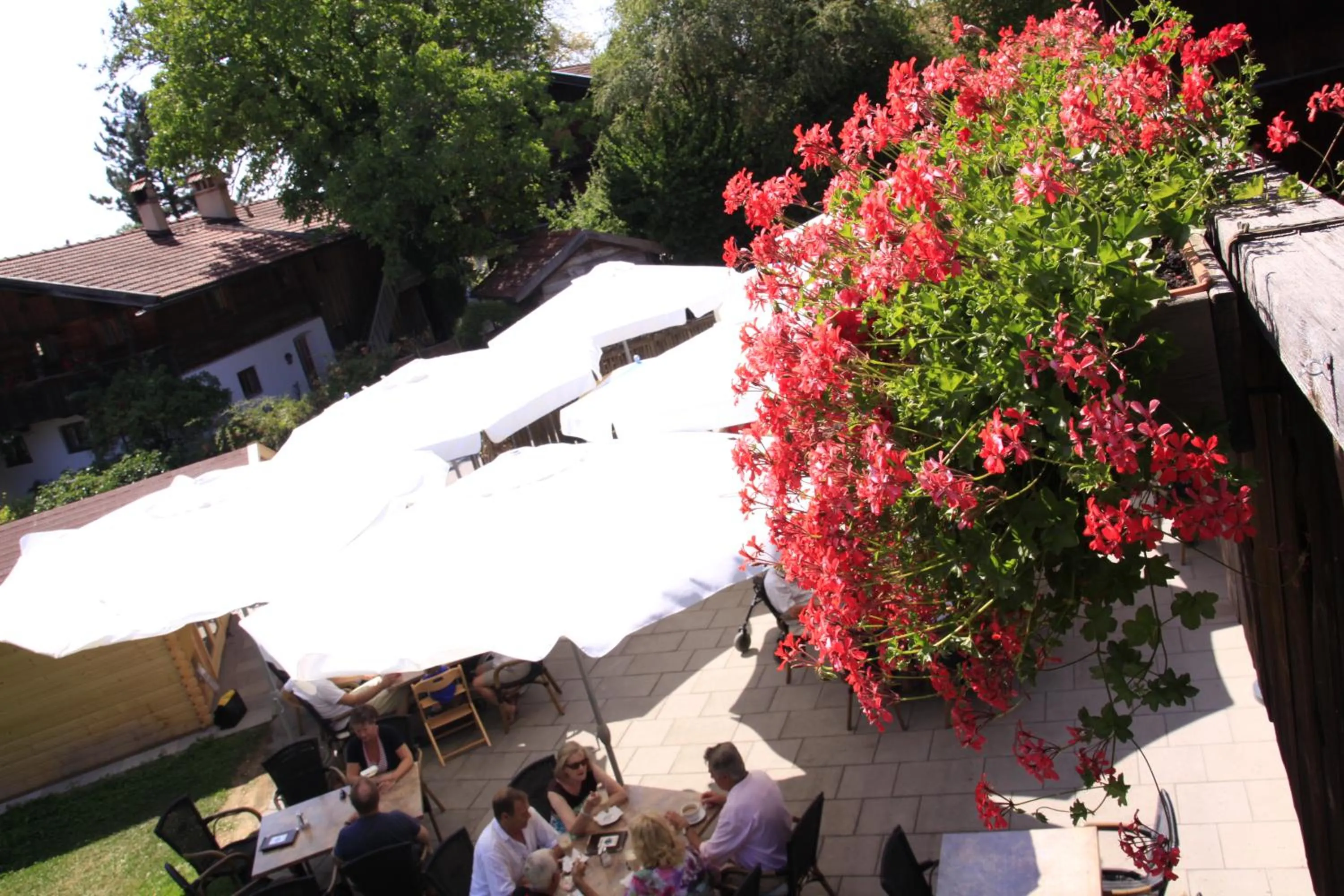 Garden view in Hotel-Cafe Hanfstingl