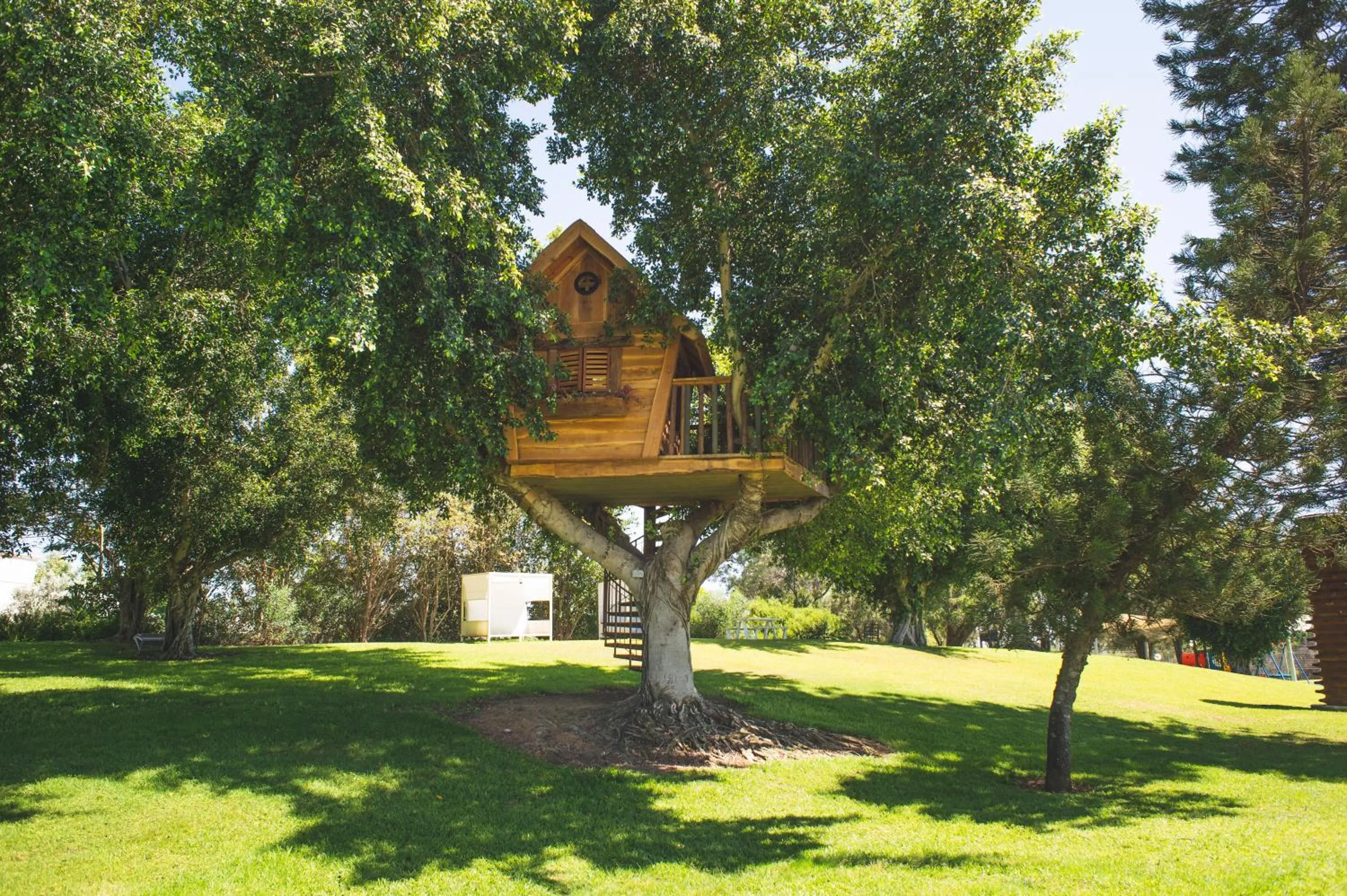 Garden in Dan Caesarea Resort