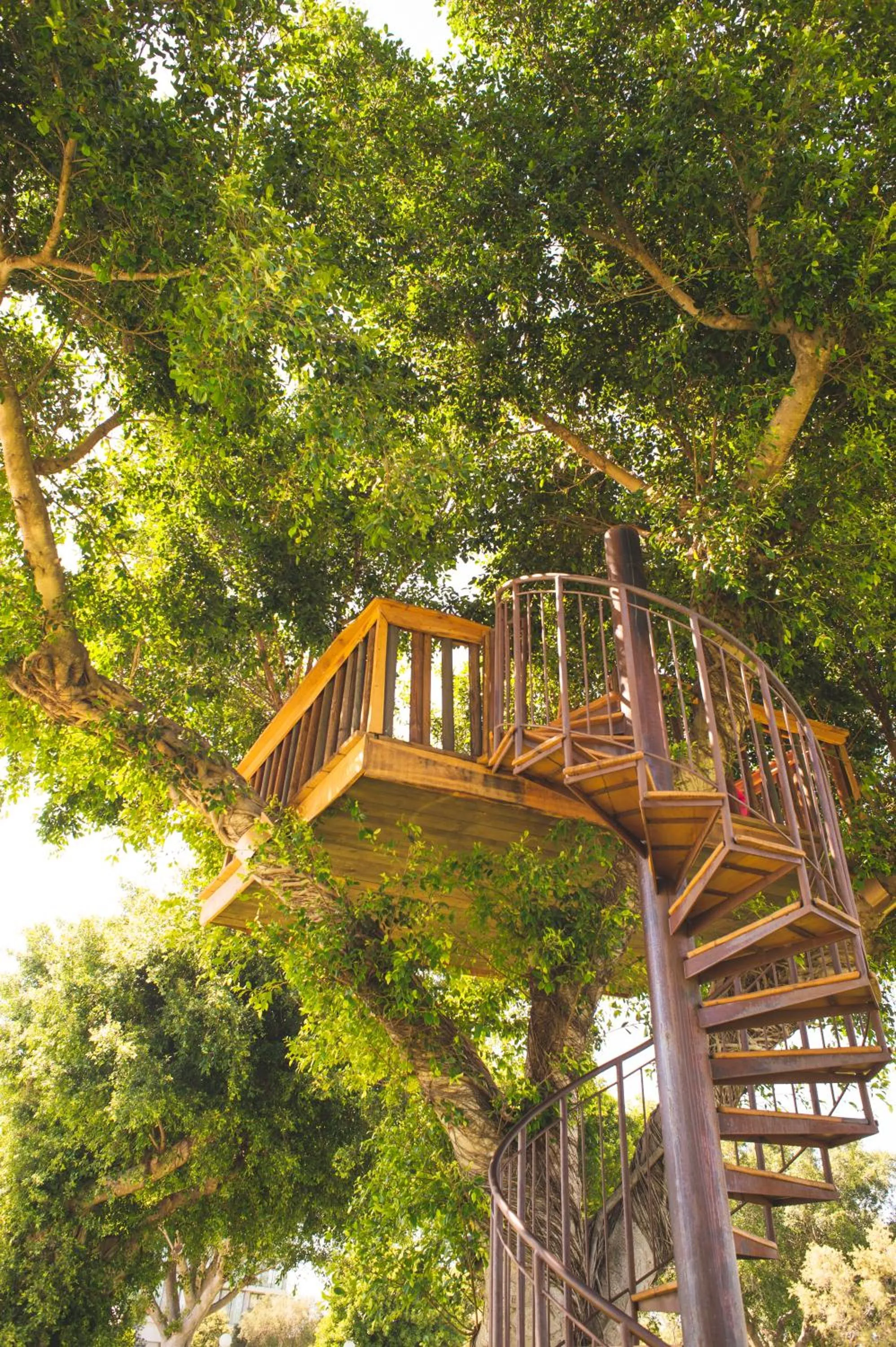 Swimming pool in Dan Caesarea Resort