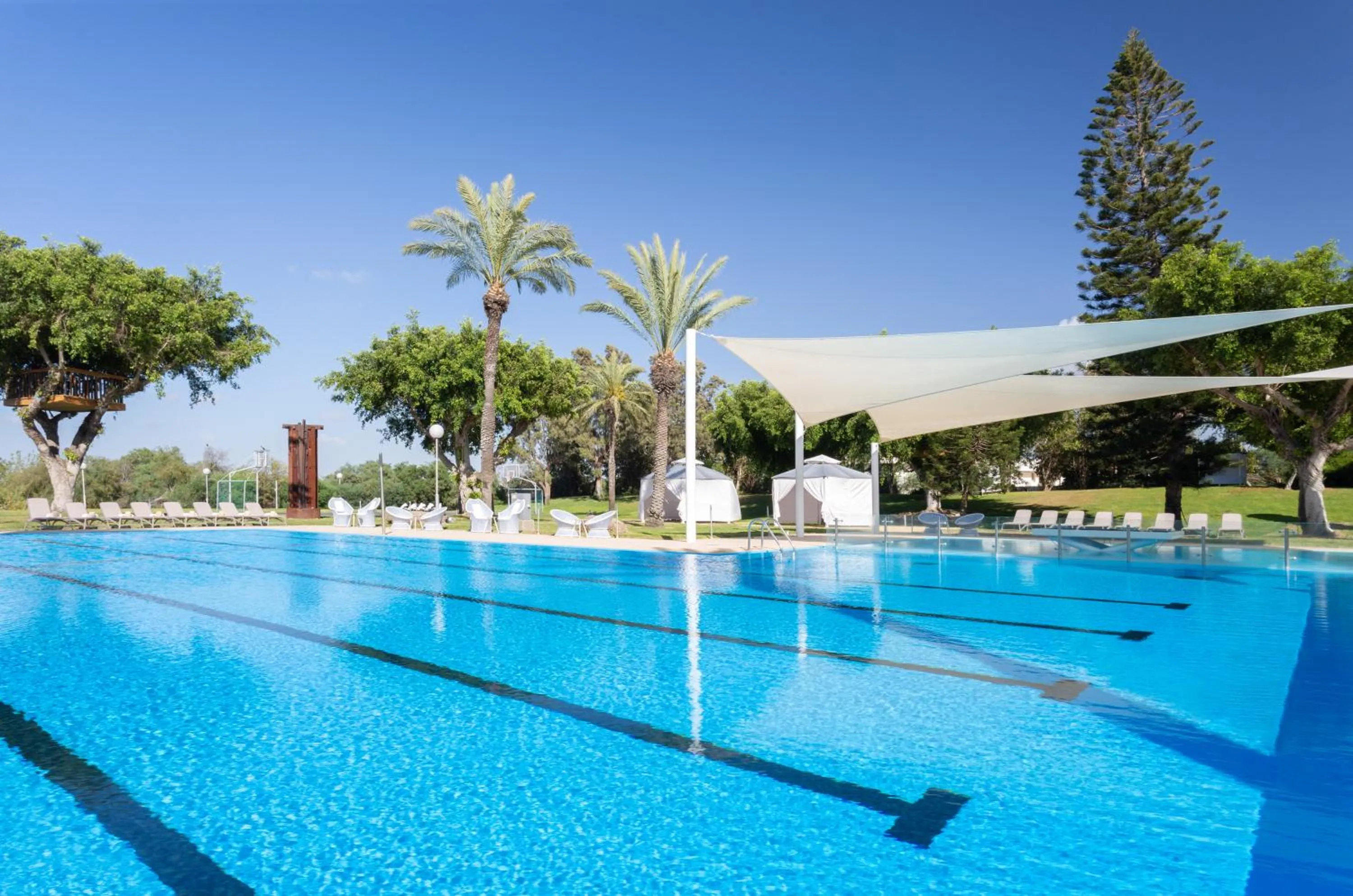 Swimming pool in Dan Caesarea Resort