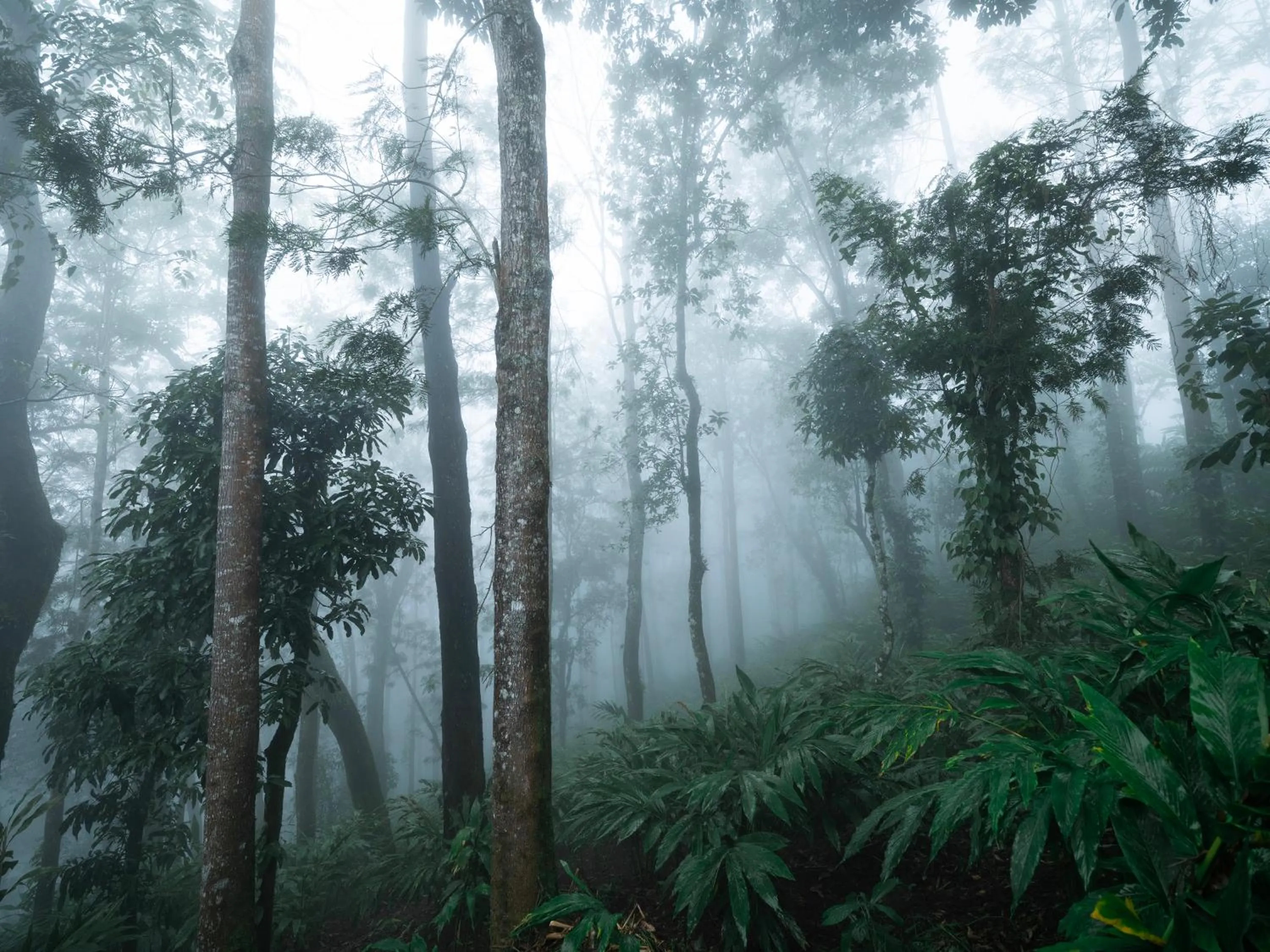 Natural landscape in Parakkat Nature Resort