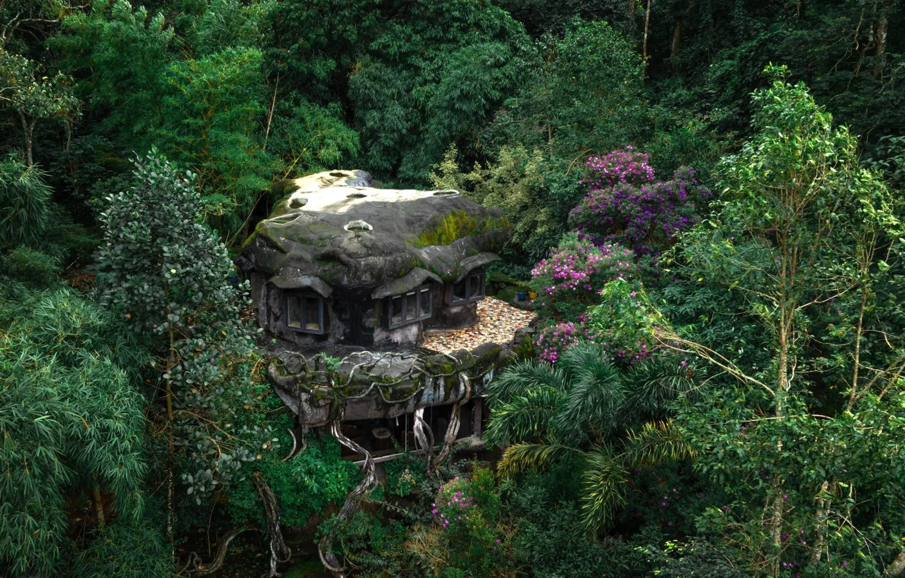 Activities in Parakkat Nature Resort