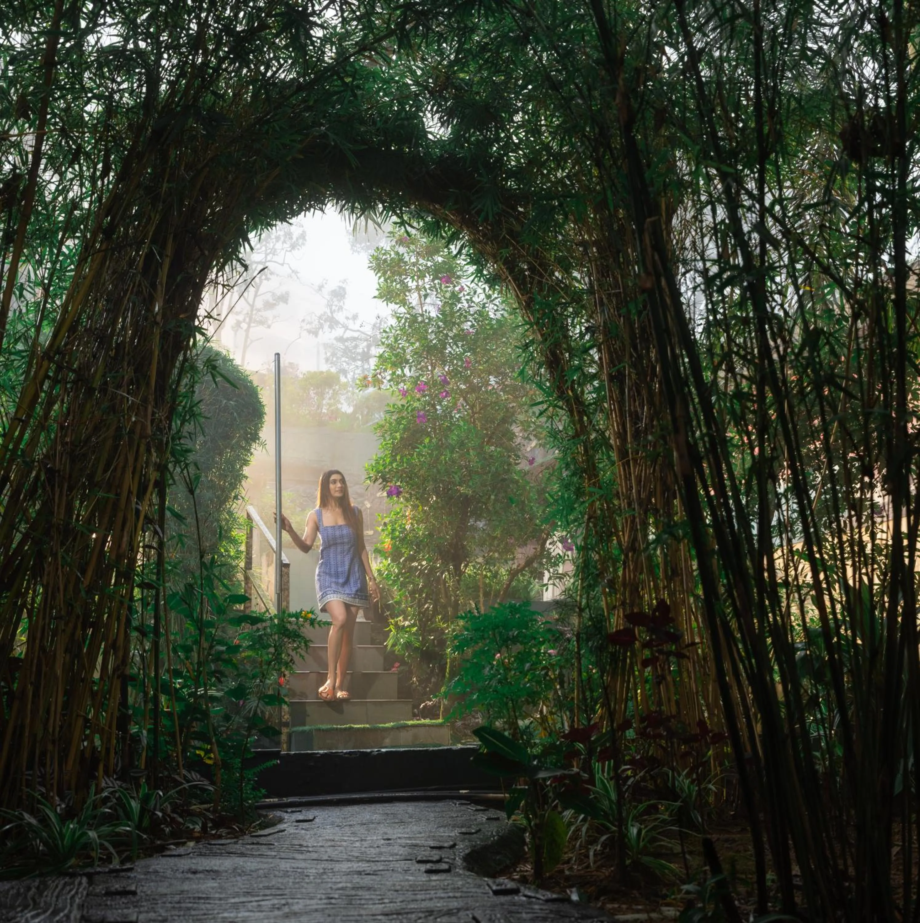 Garden in Parakkat Nature Resort