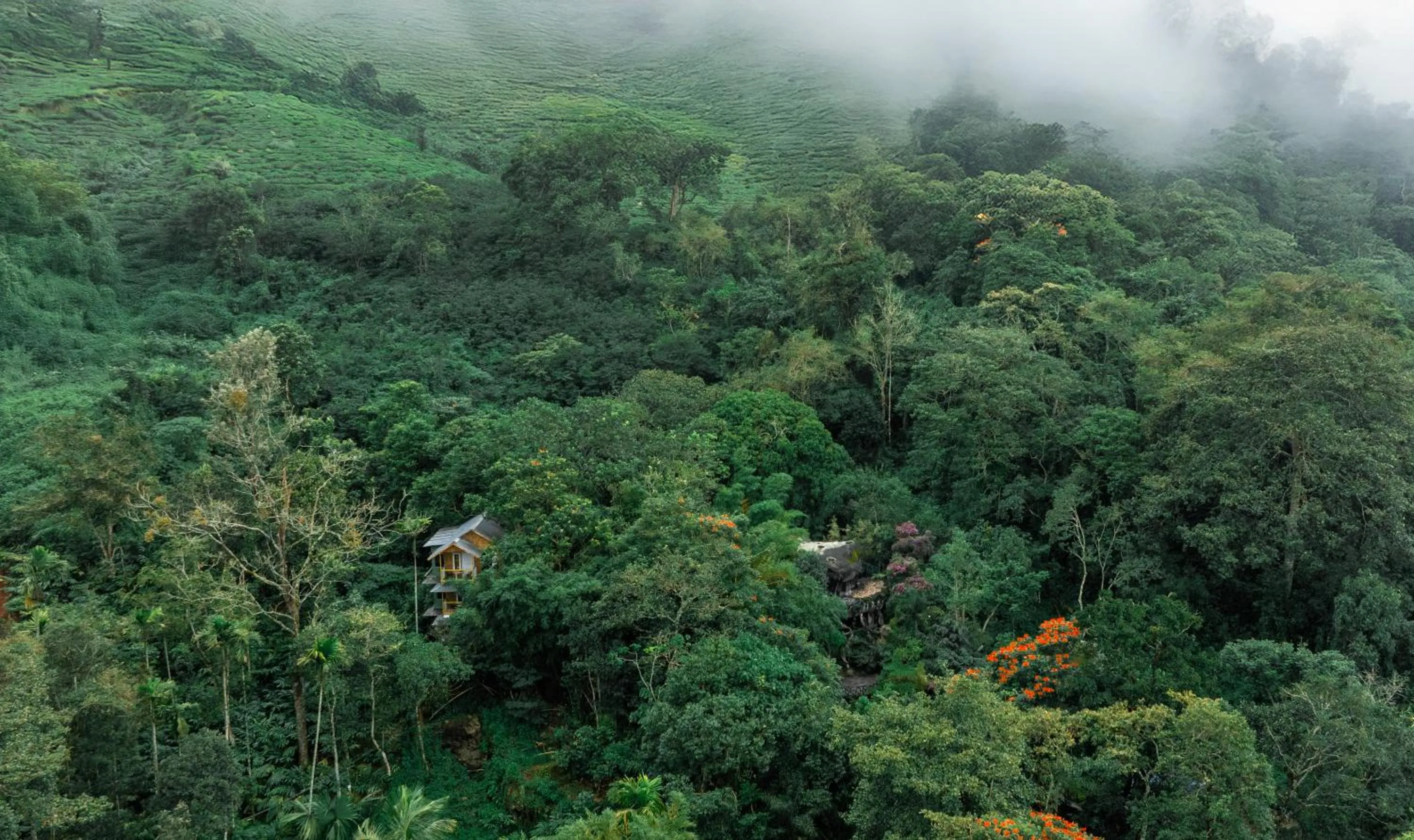 Bird's eye view in Parakkat Nature Resort