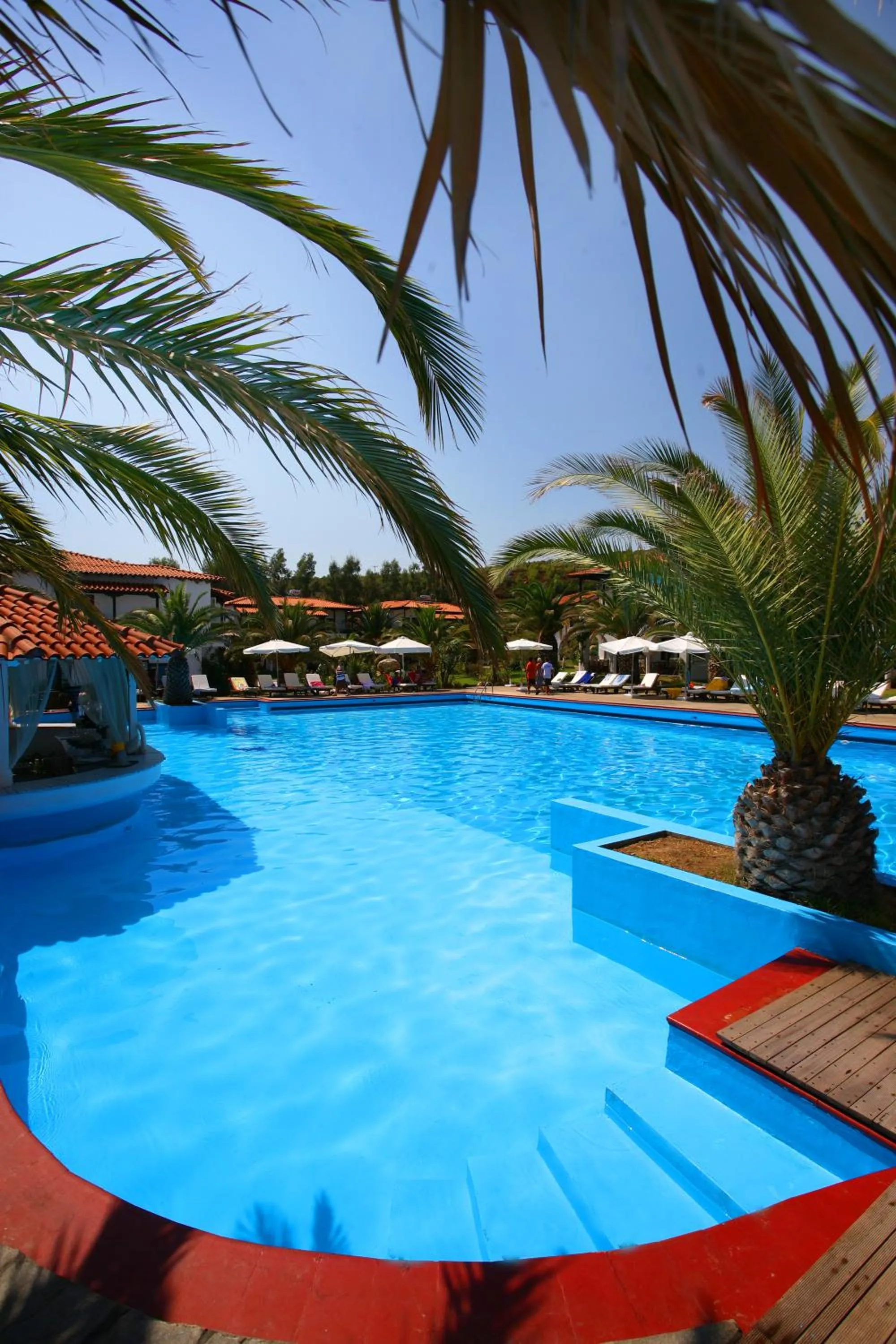 Swimming pool in Assa Maris Beach Hotel