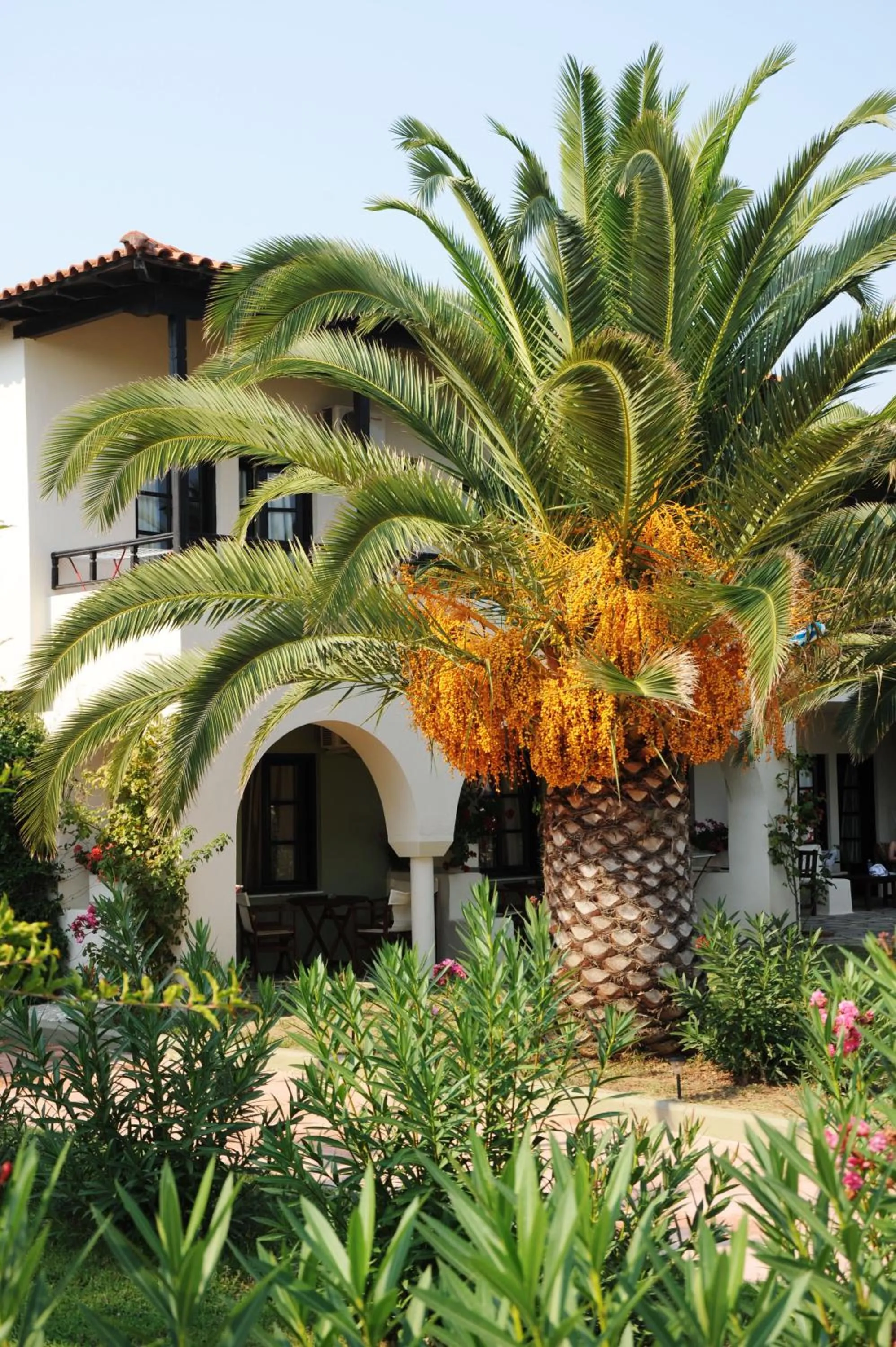 Property building in Assa Maris Beach Hotel