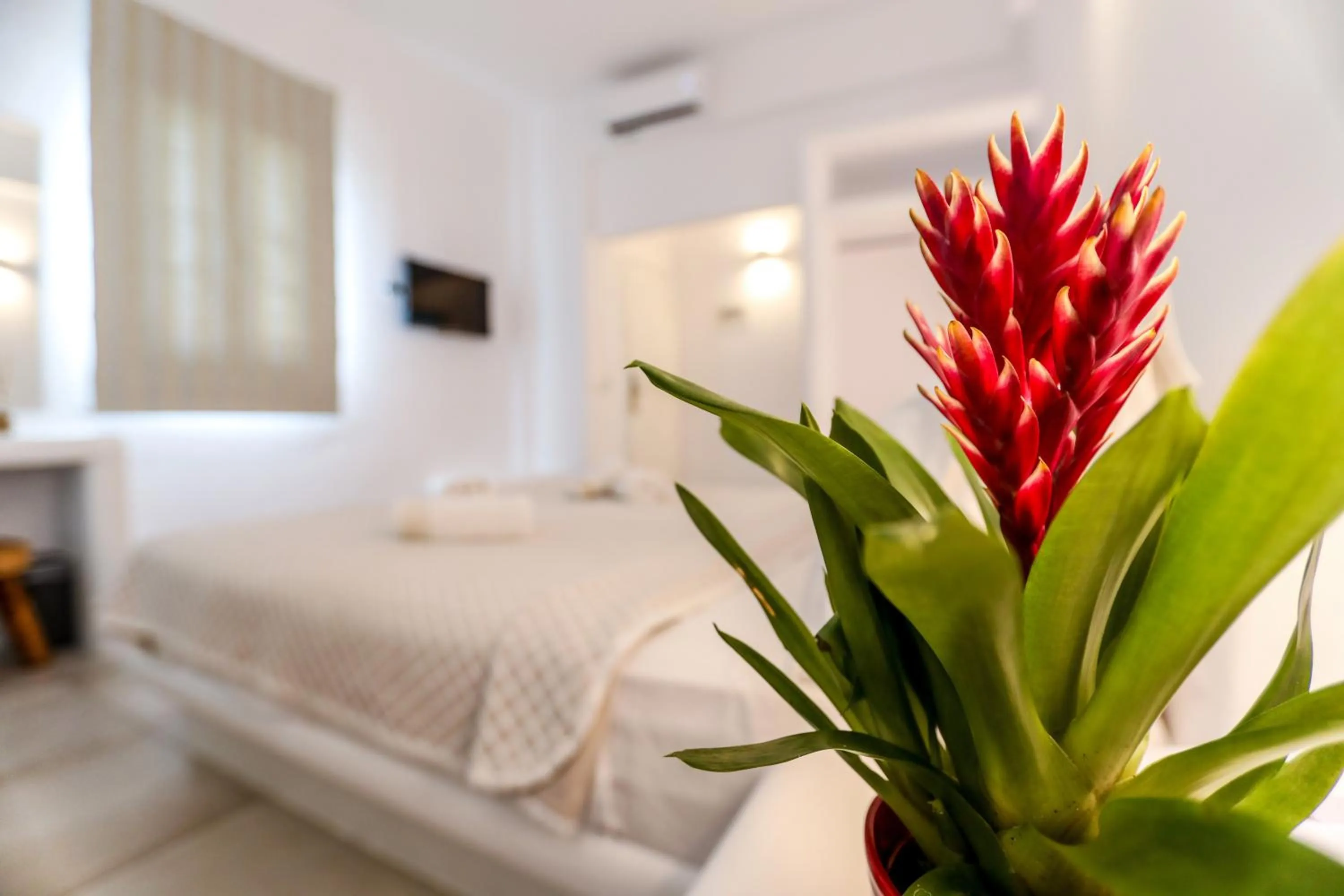 Bed in Casa Grande Hotel