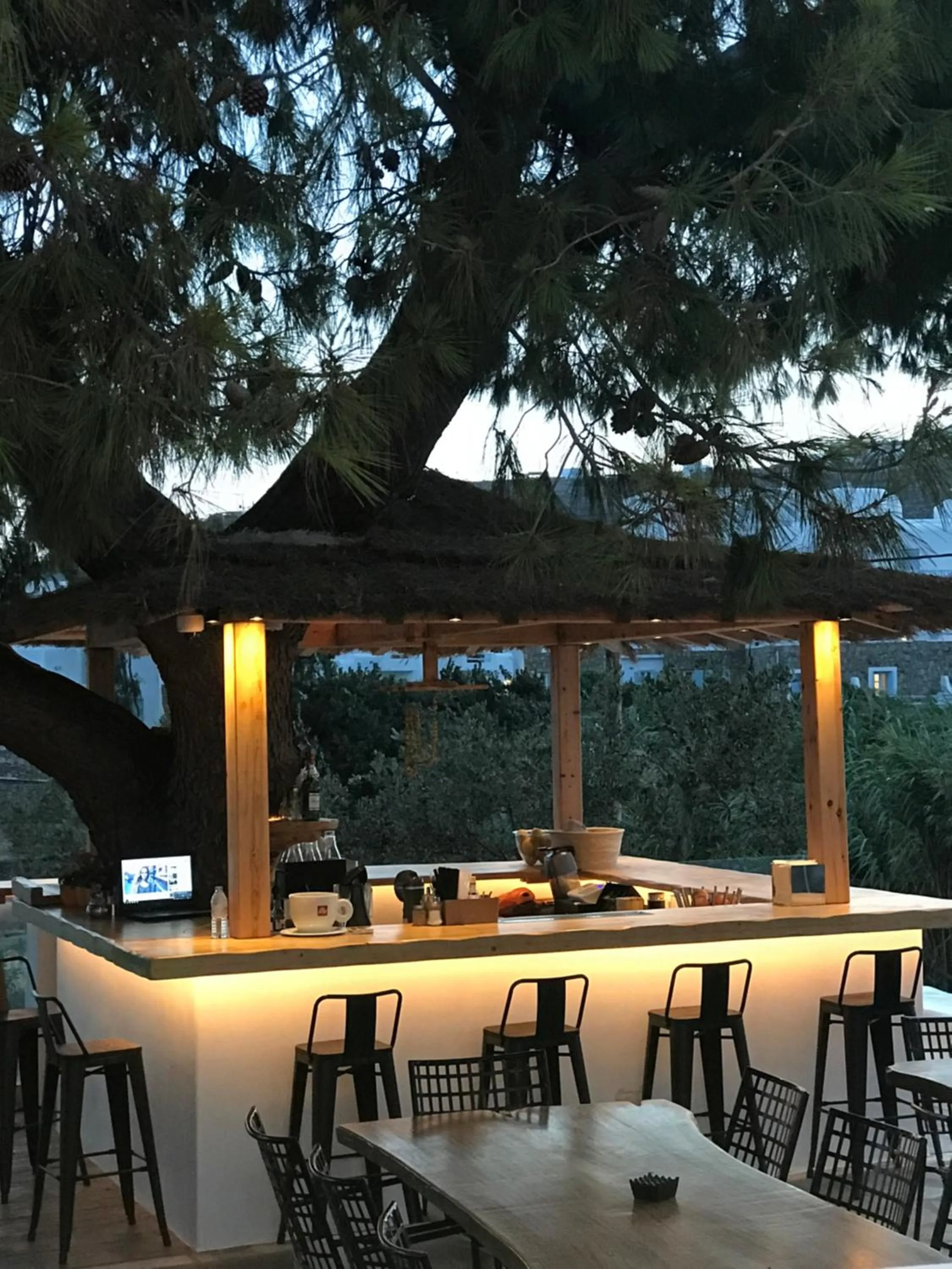 Lounge or bar in Casa Grande Hotel