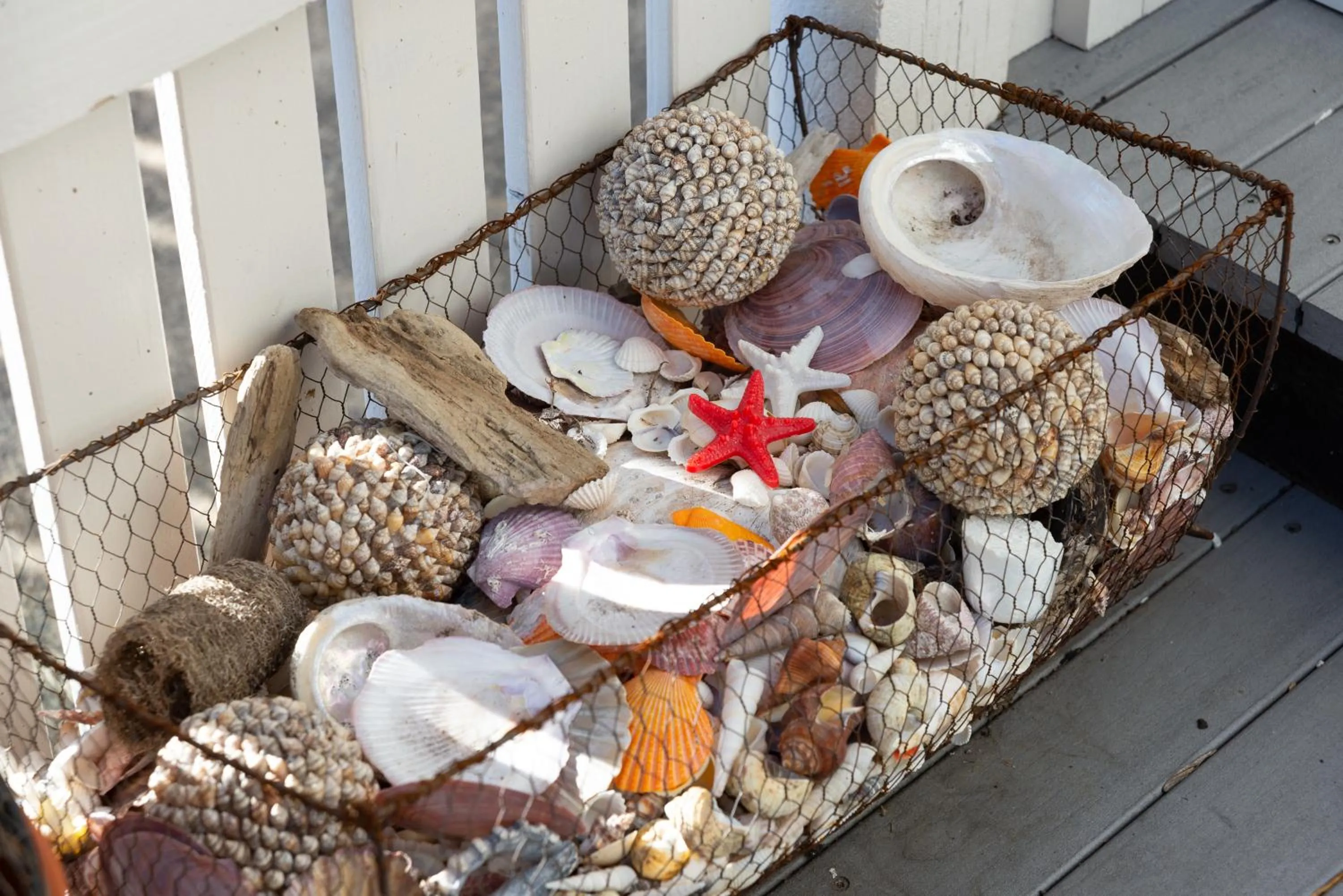 Day in At Eleven - La Petite Maison