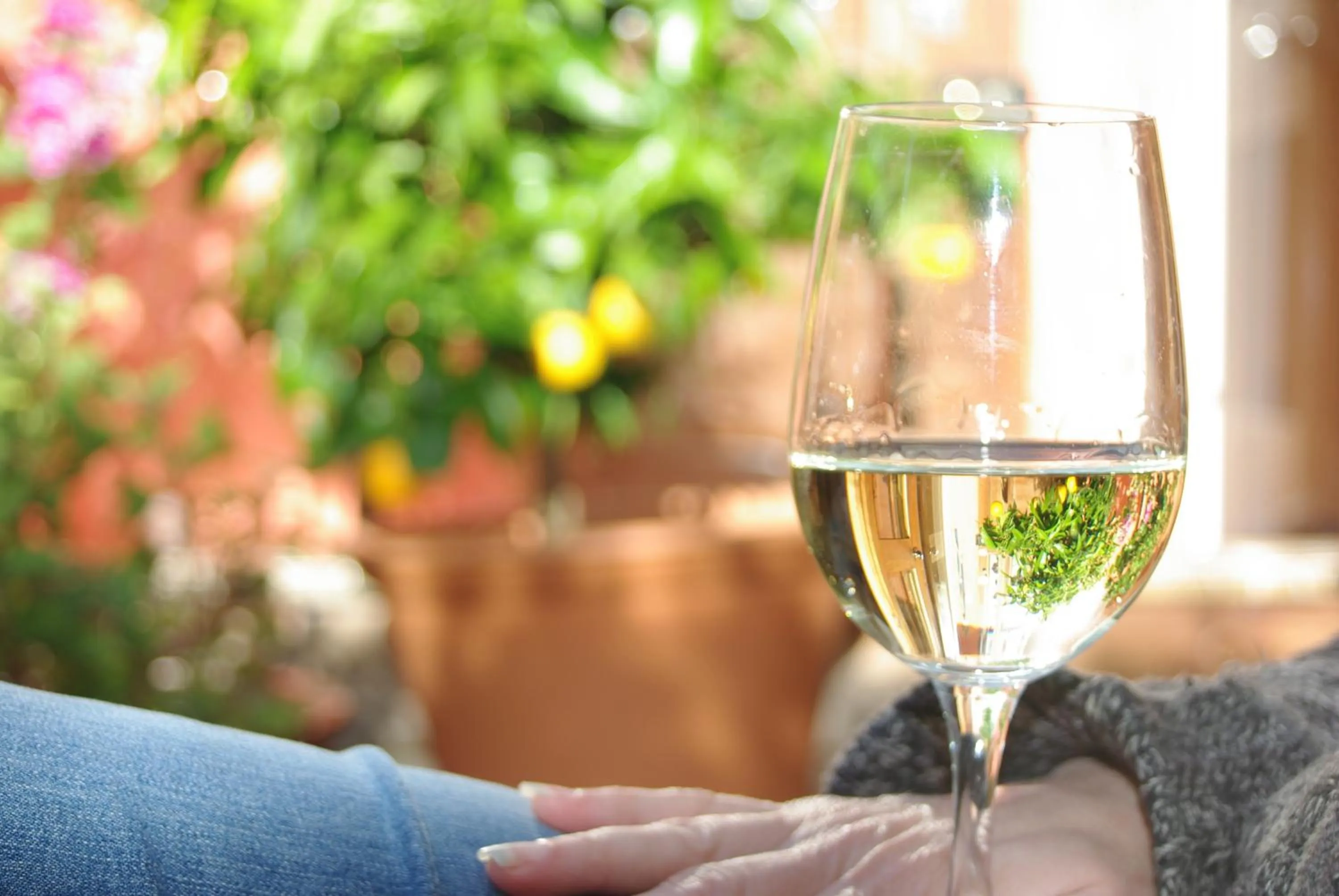 Alcoholic drinks in At Eleven - La Petite Maison