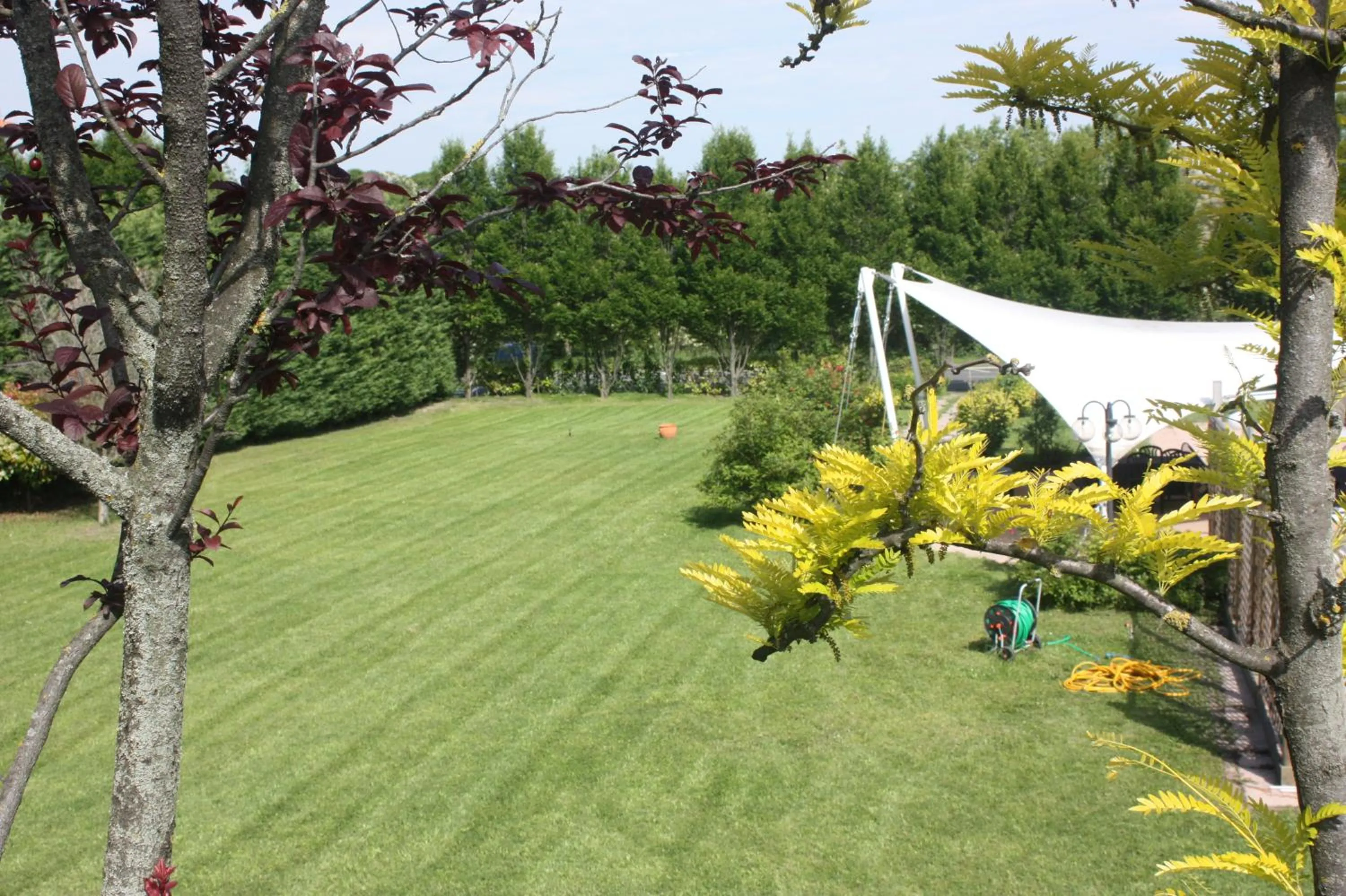 Garden view in Albergo Della Roccia