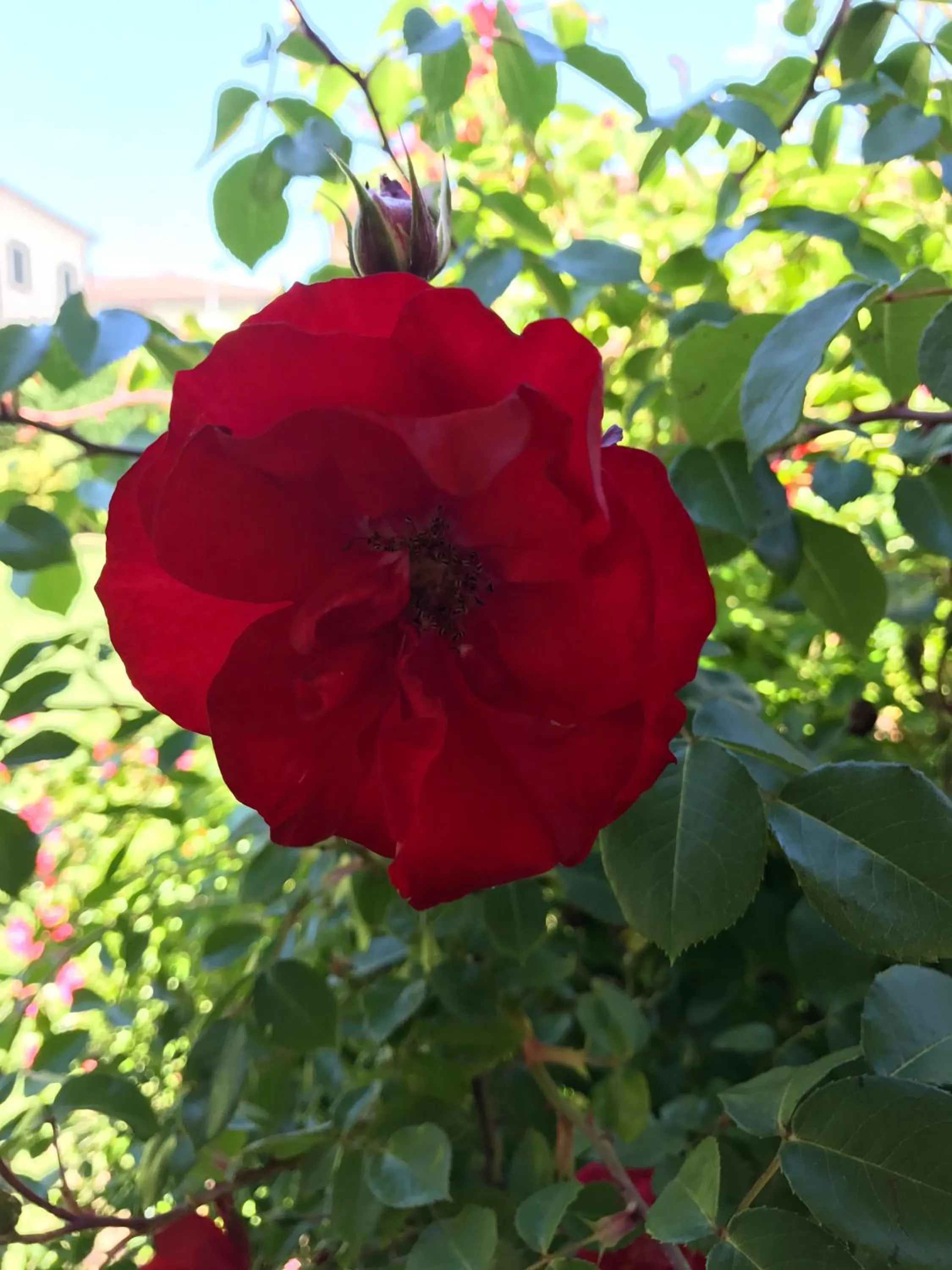 Natural landscape in Albergo Della Roccia
