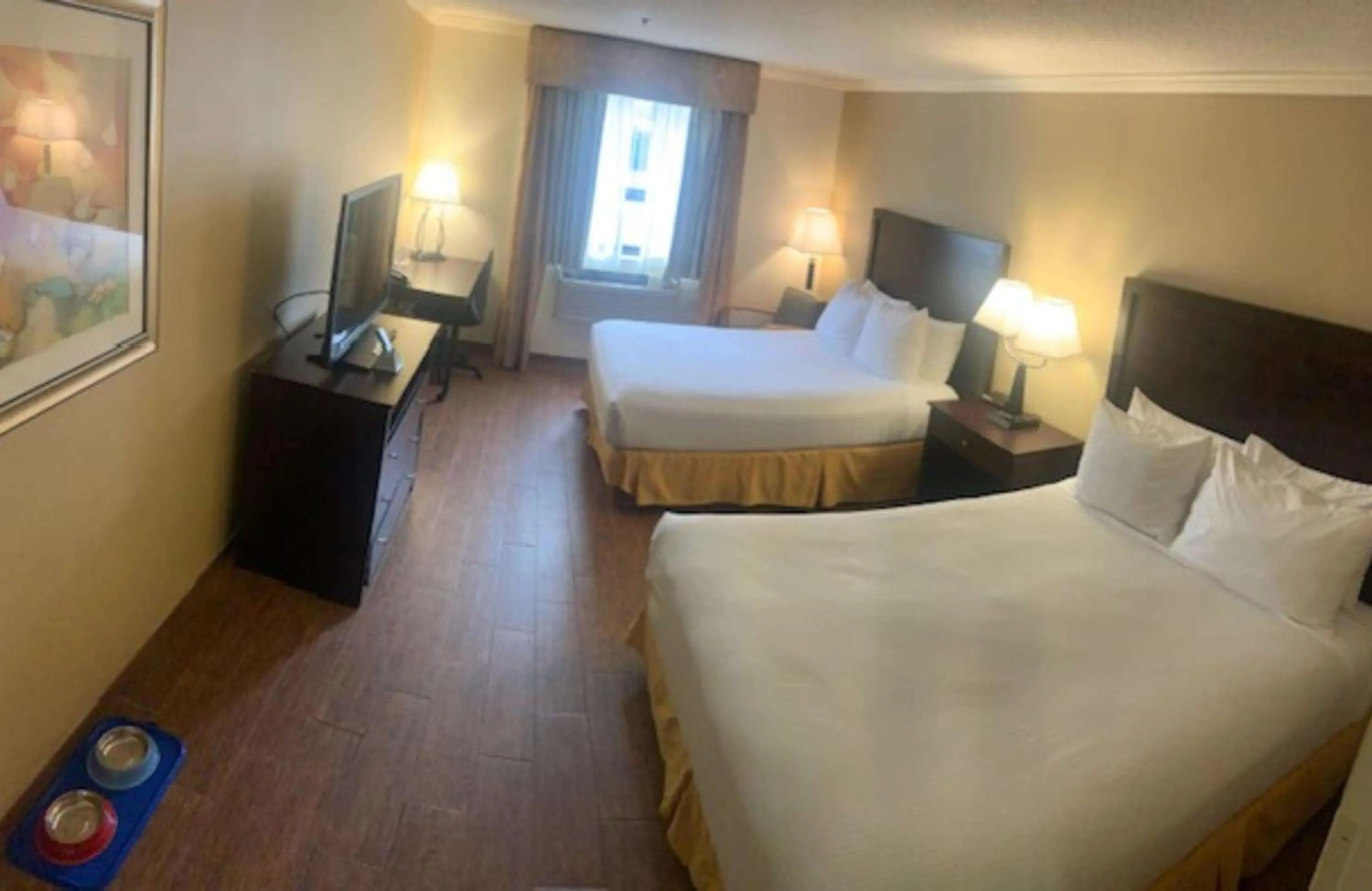 Bedroom, Bed in Best Western Davison Inn