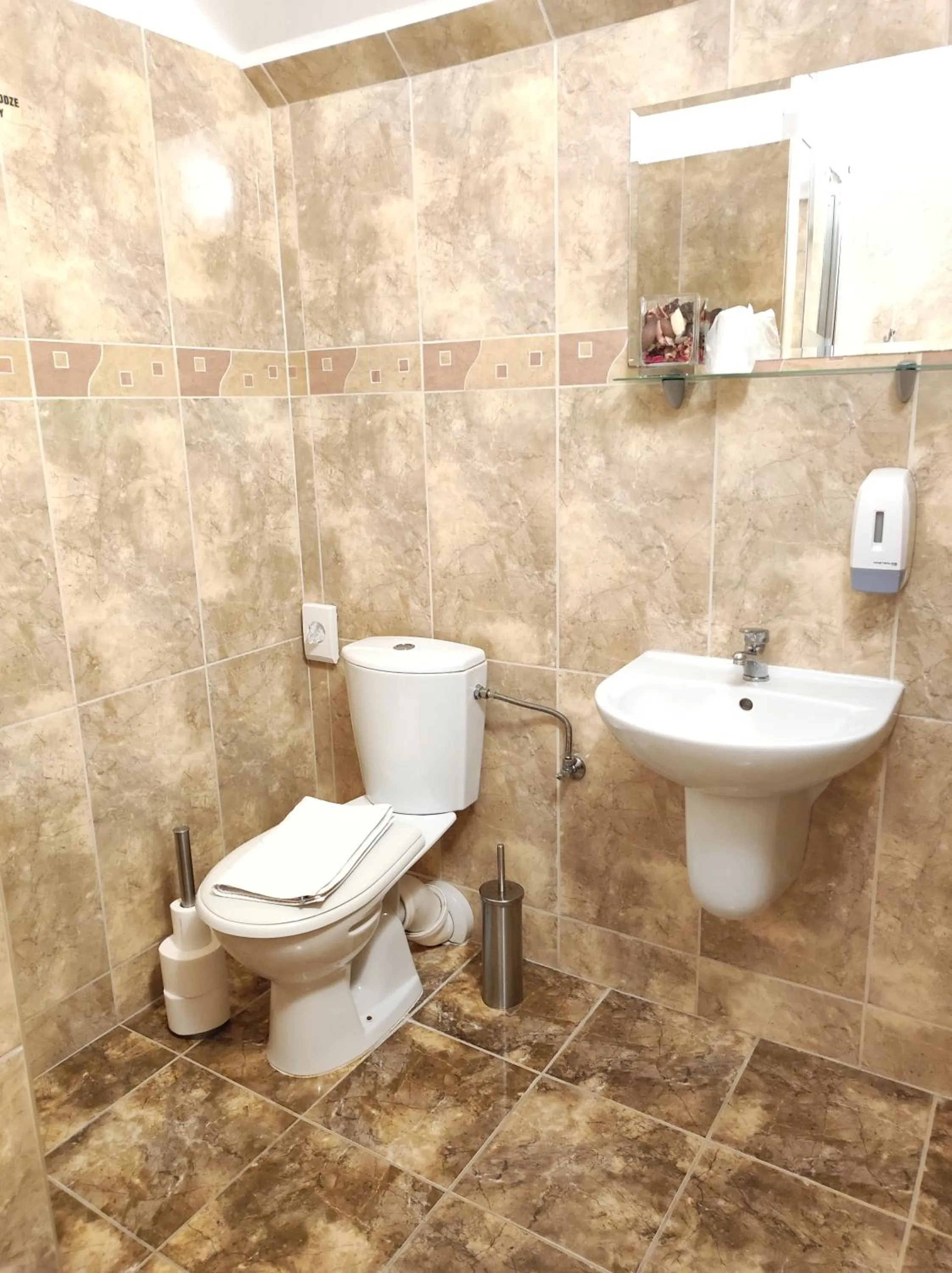 Toilet in Pensjonat Wioletta