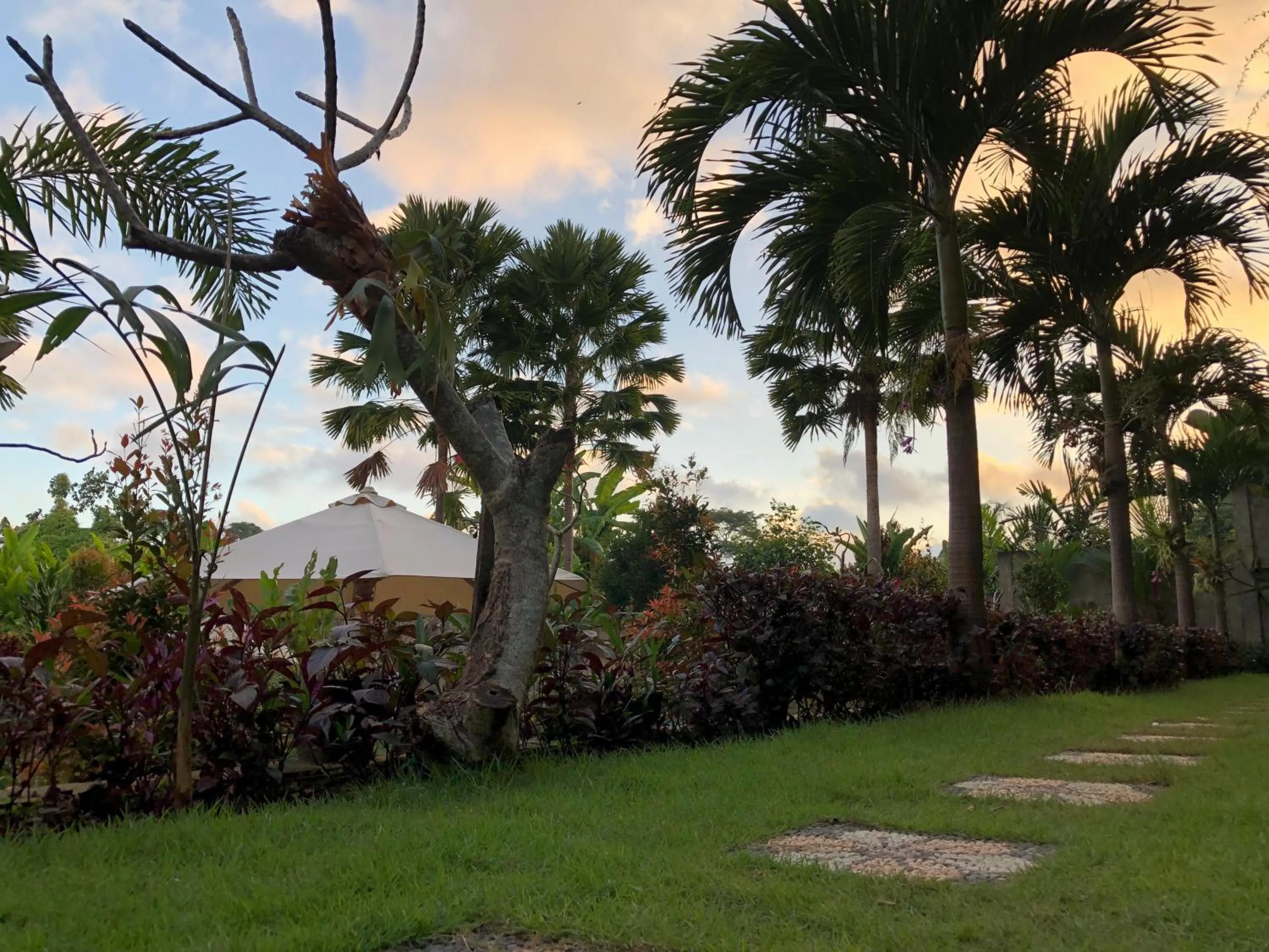 Garden in Betutu Bali Villas
