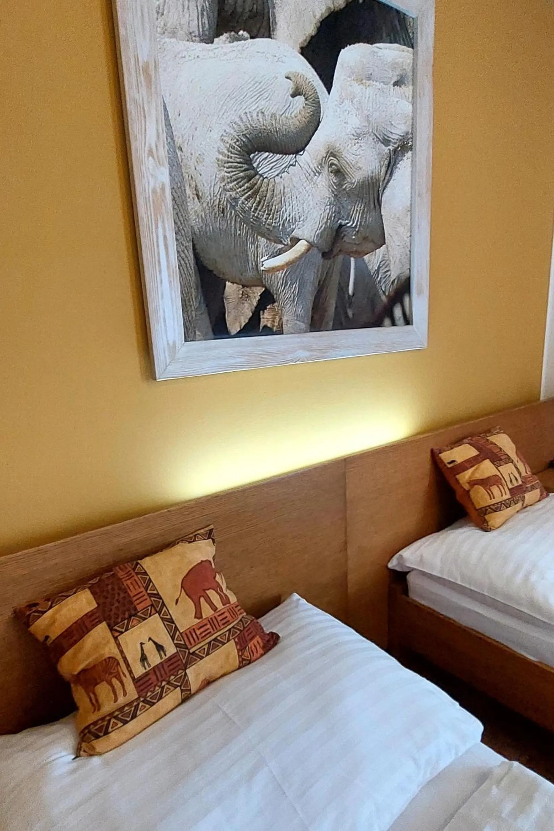 Bed in Afrika Hotel Frýdek-Místek