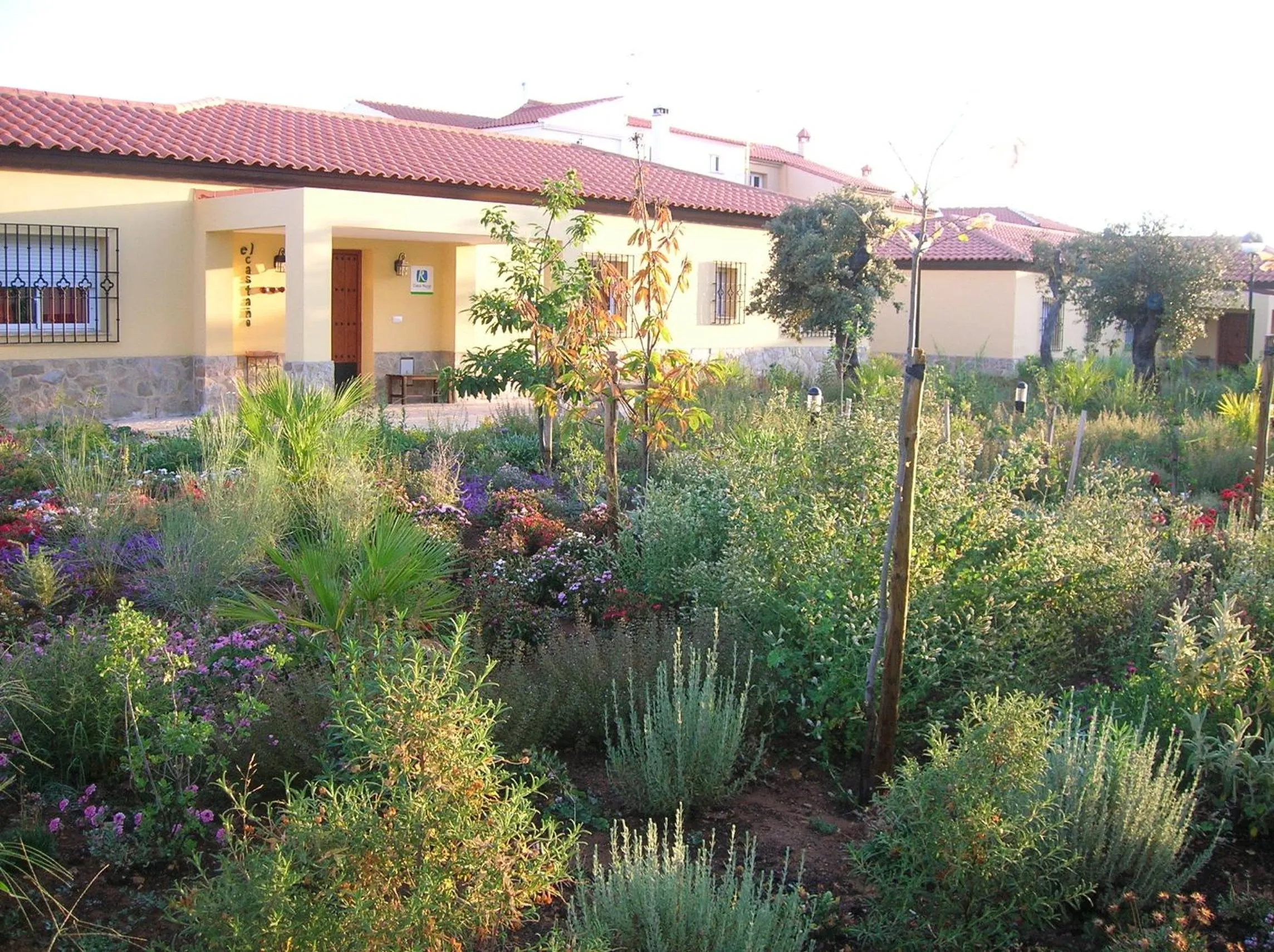 Garden in Hotel Sierra Luz