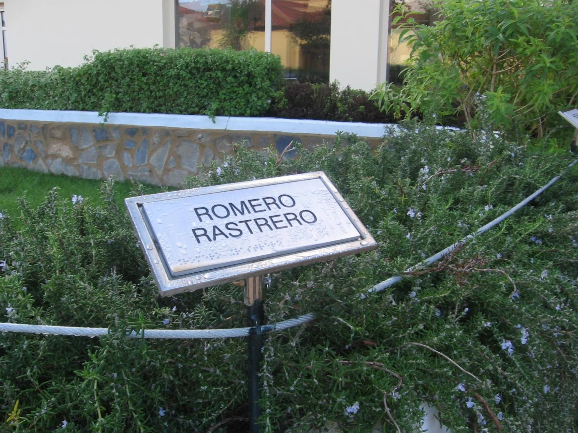 Garden in Hotel Sierra Luz
