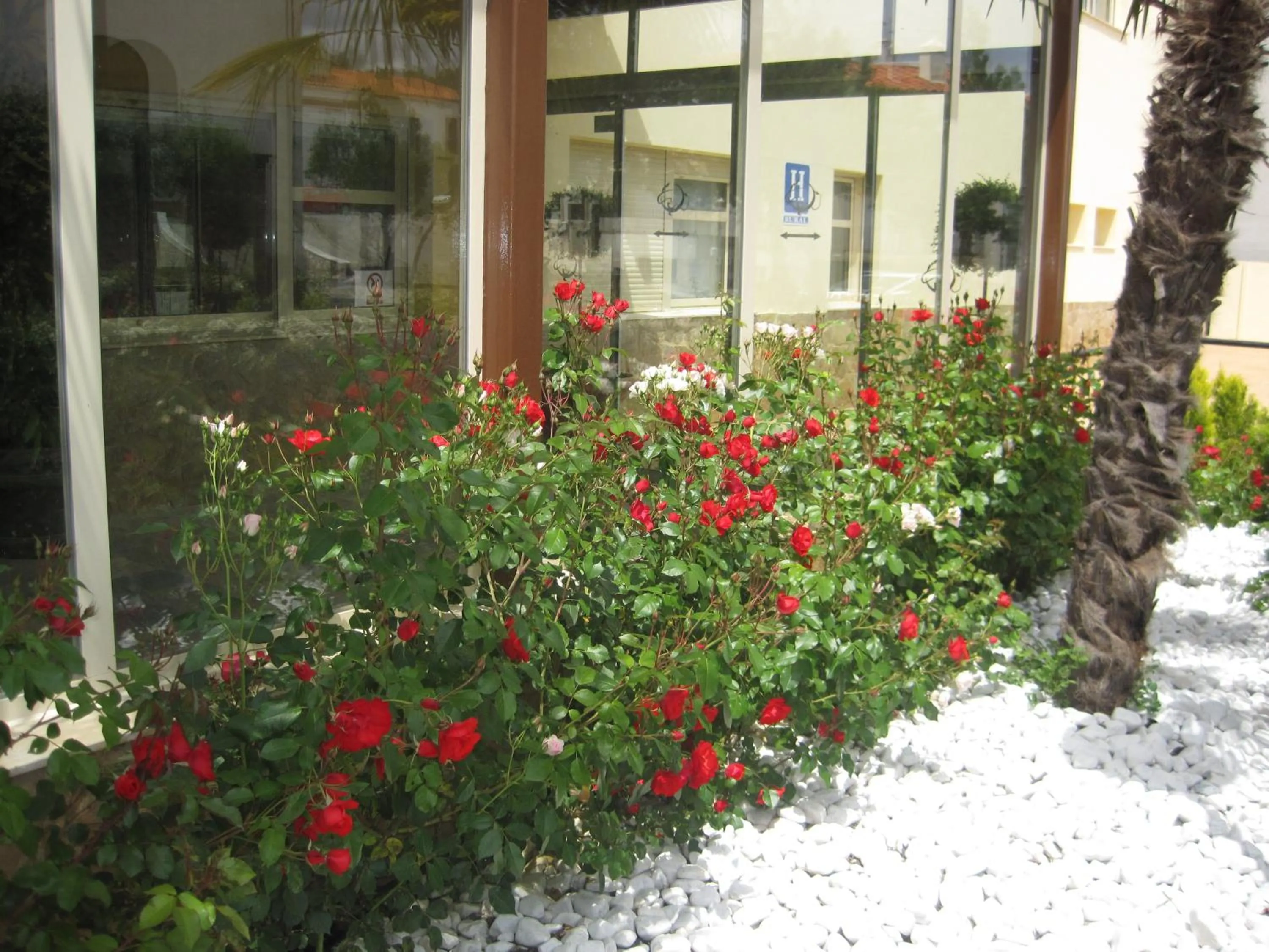 Lobby or reception in Hotel Sierra Luz