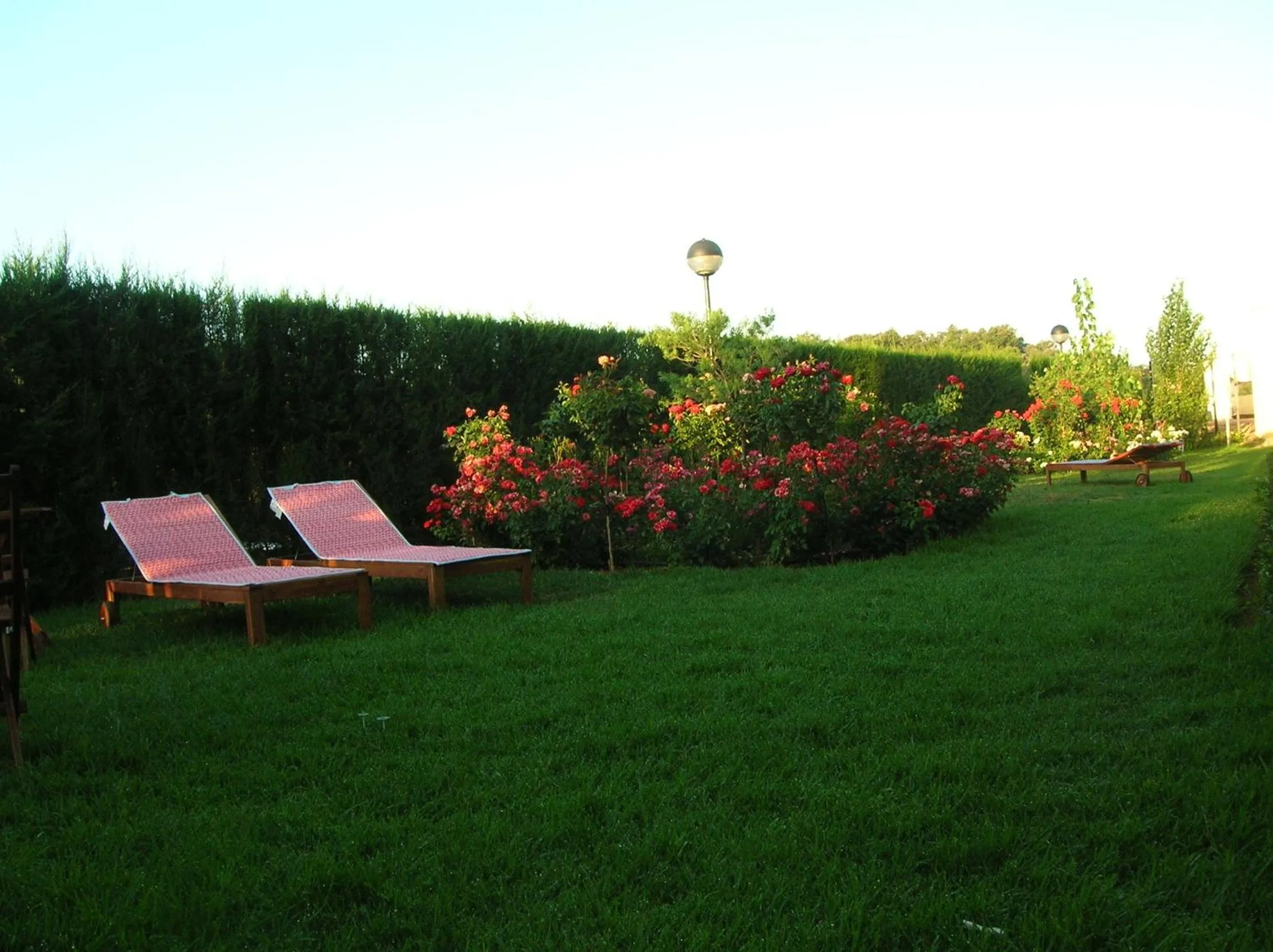 Garden in Hotel Sierra Luz
