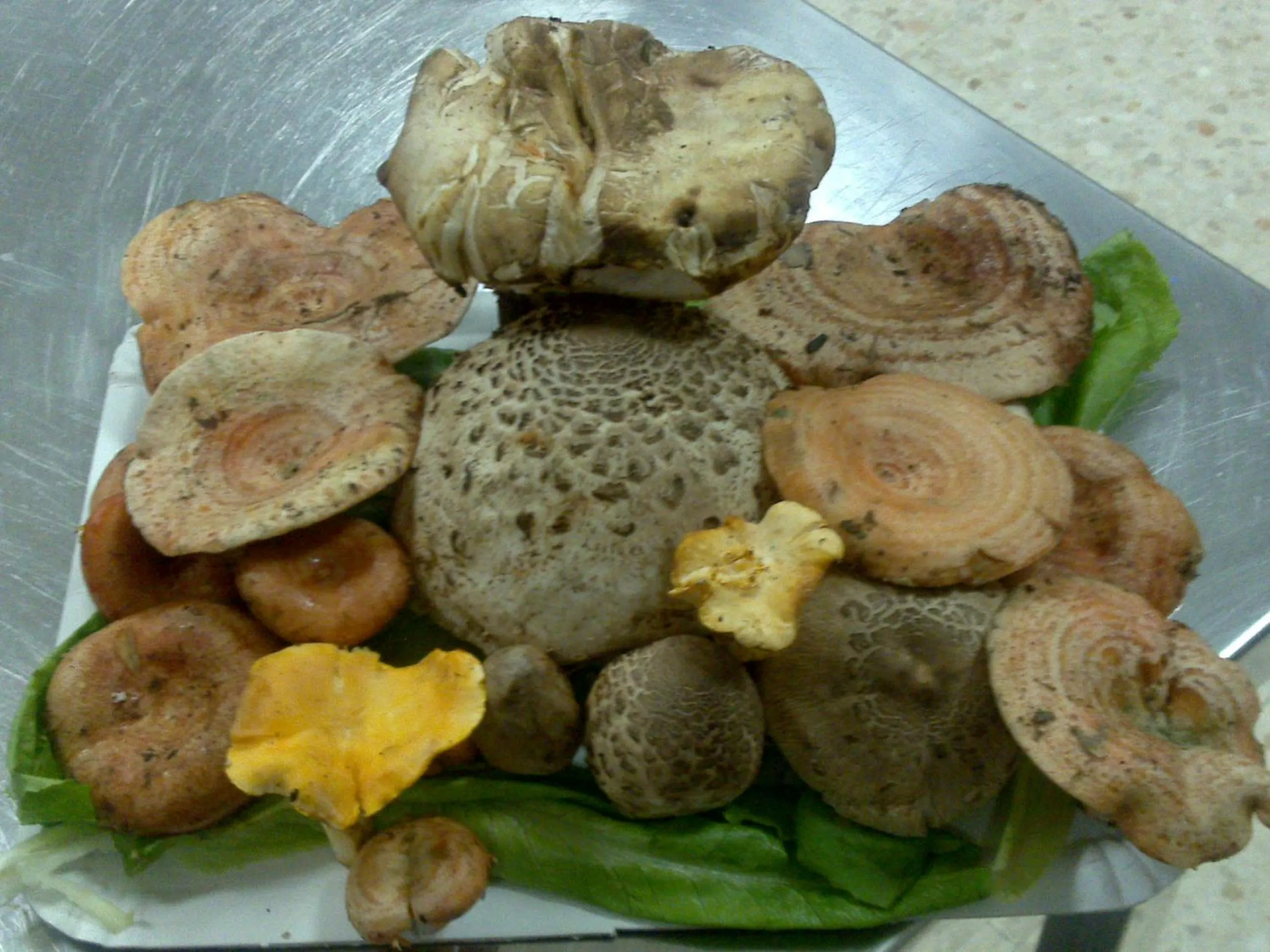 Food in Hotel Sierra Luz