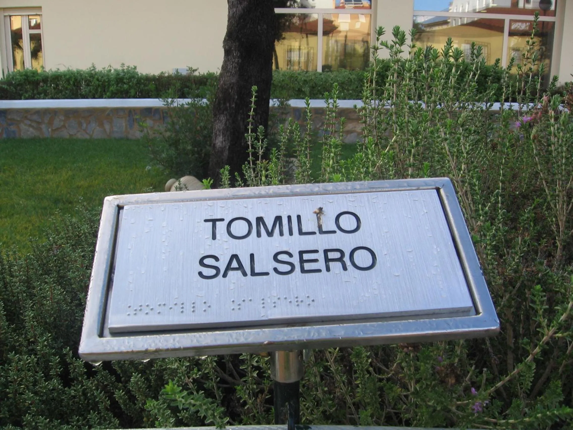 Garden in Hotel Sierra Luz