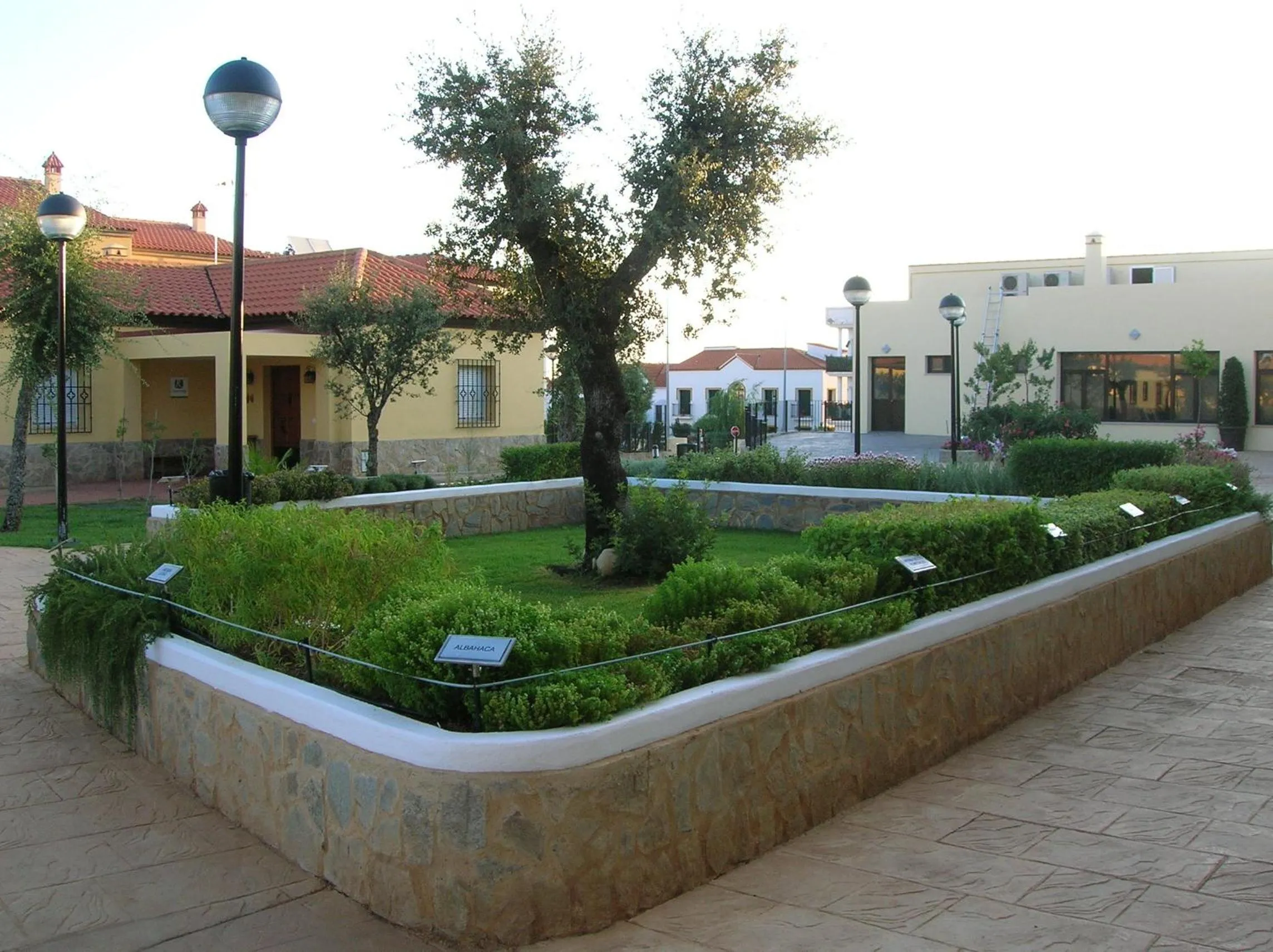 On site in Hotel Sierra Luz