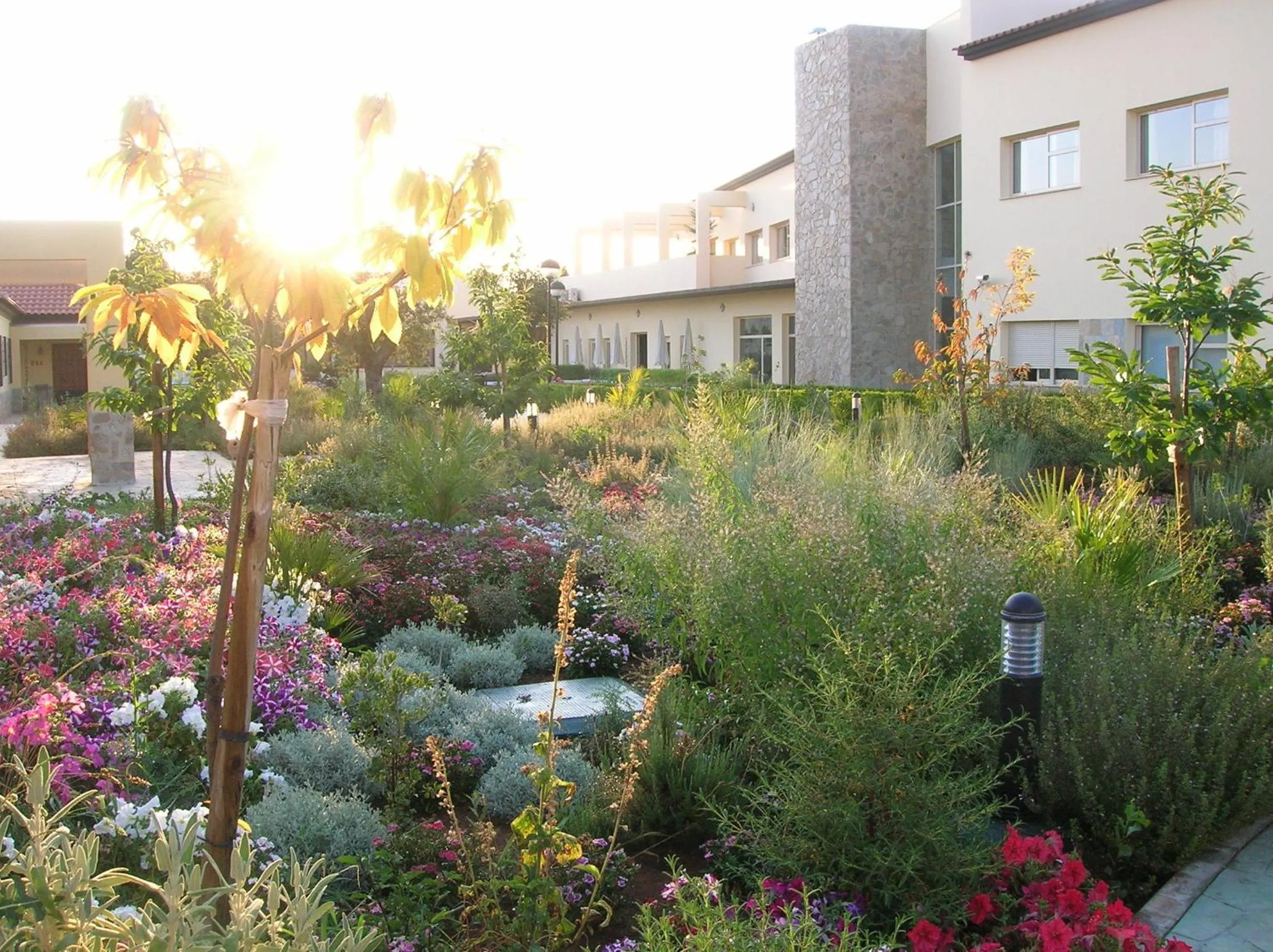 Garden in Hotel Sierra Luz