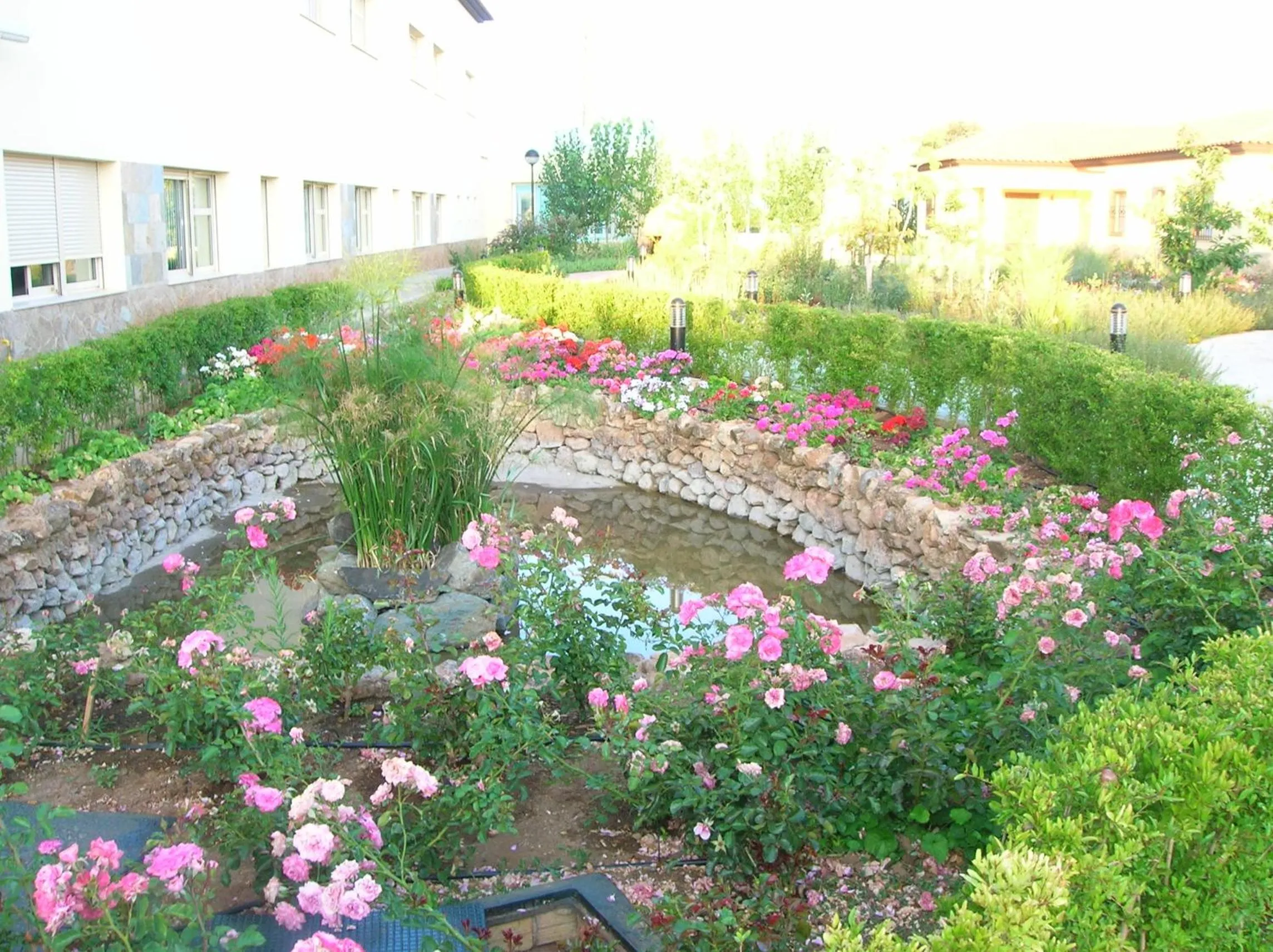 Garden in Hotel Sierra Luz