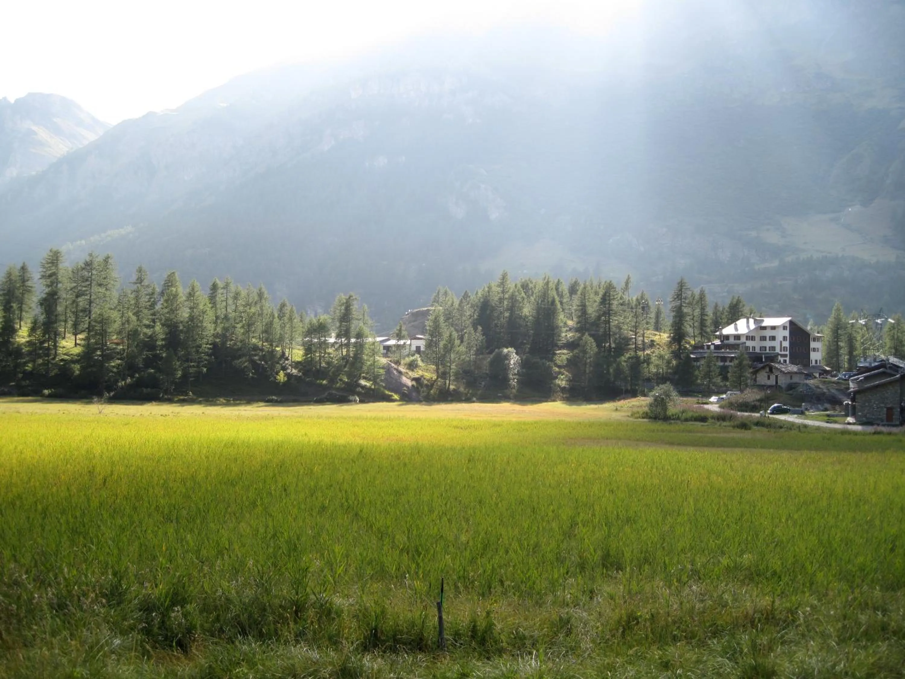 Summer in Les Neiges D'Antan