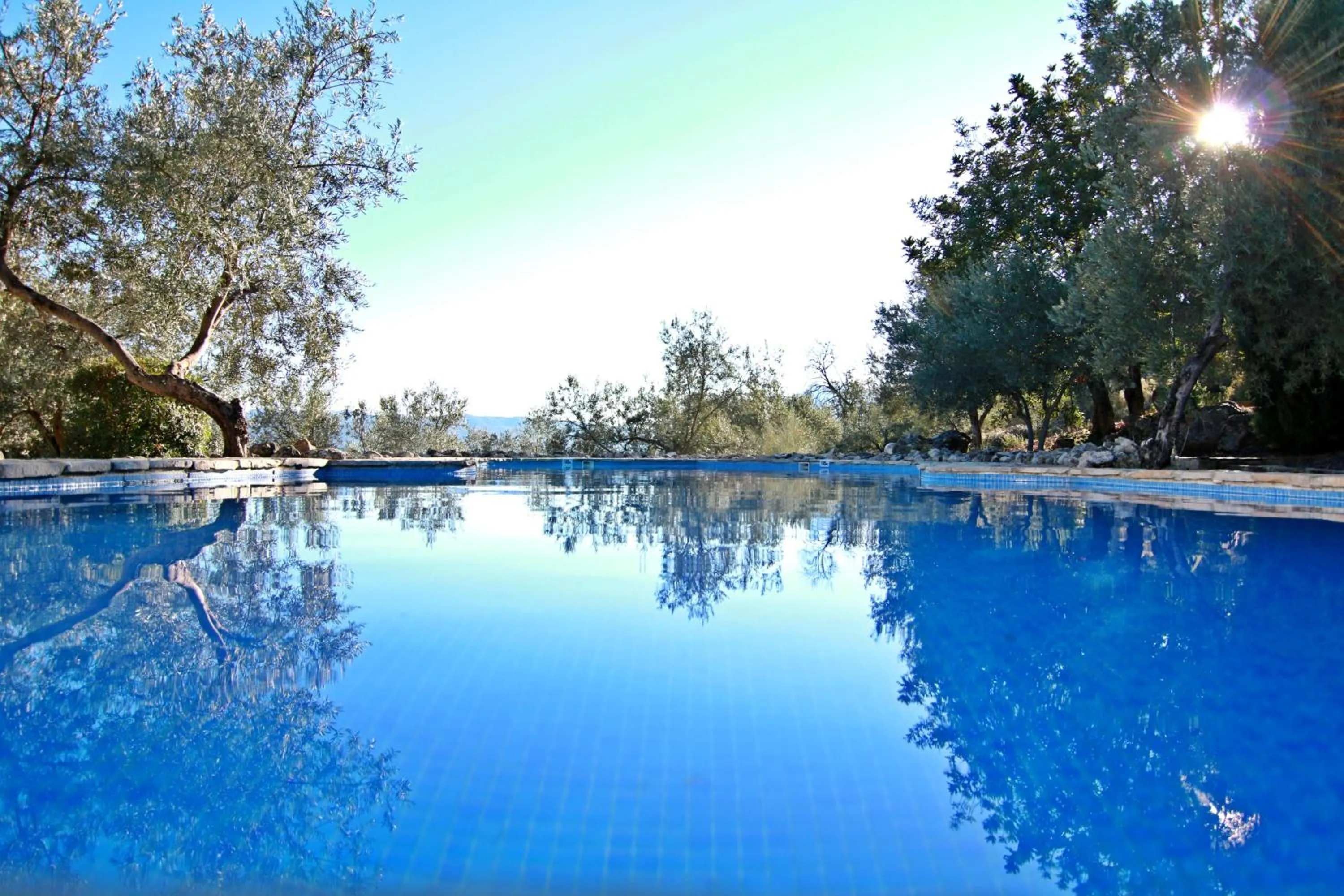 Swimming pool in Casas Rurales Los Algarrobales