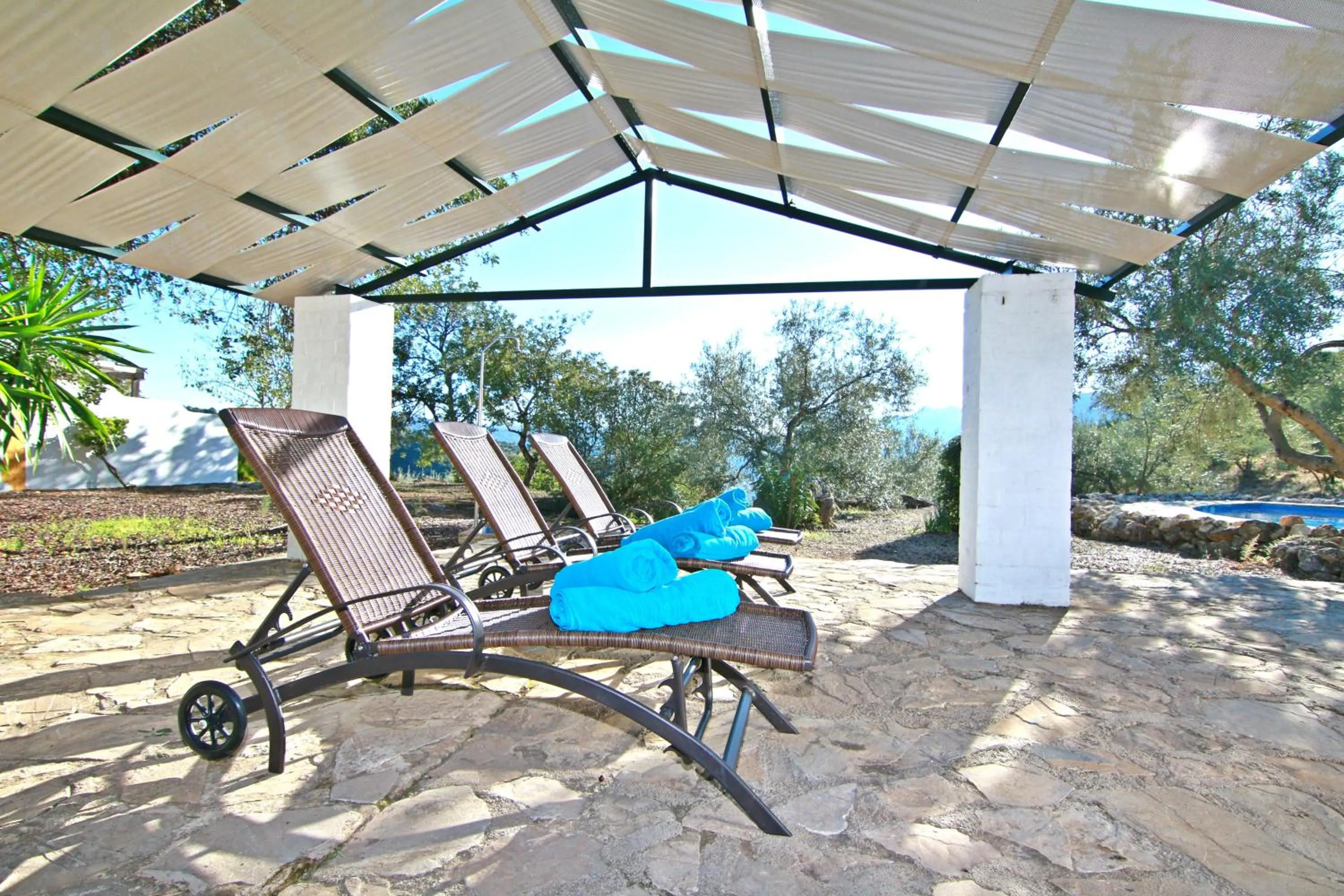 Swimming pool in Casas Rurales Los Algarrobales