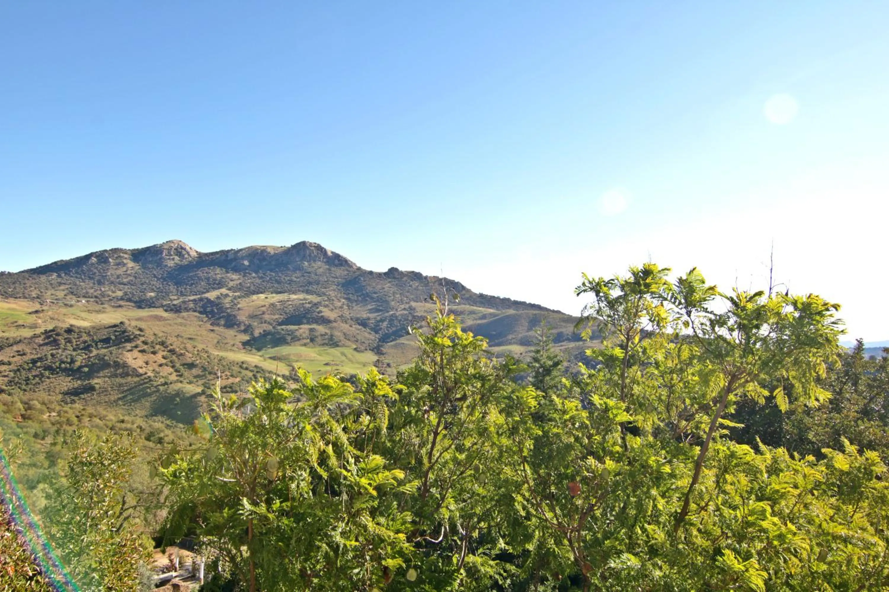 View (from property/room) in Casas Rurales Los Algarrobales
