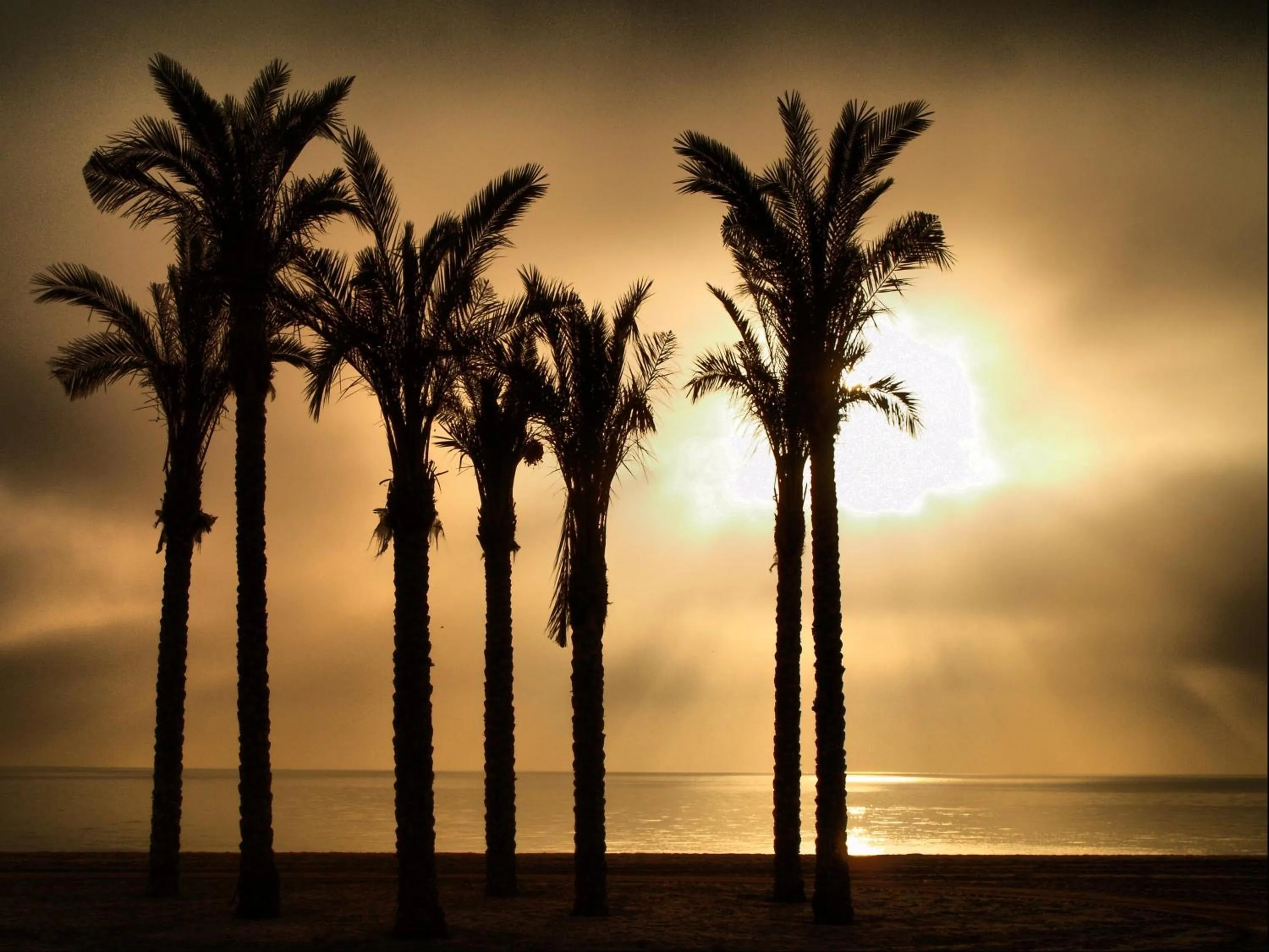 Other in Apartamentos Estrella De Mar