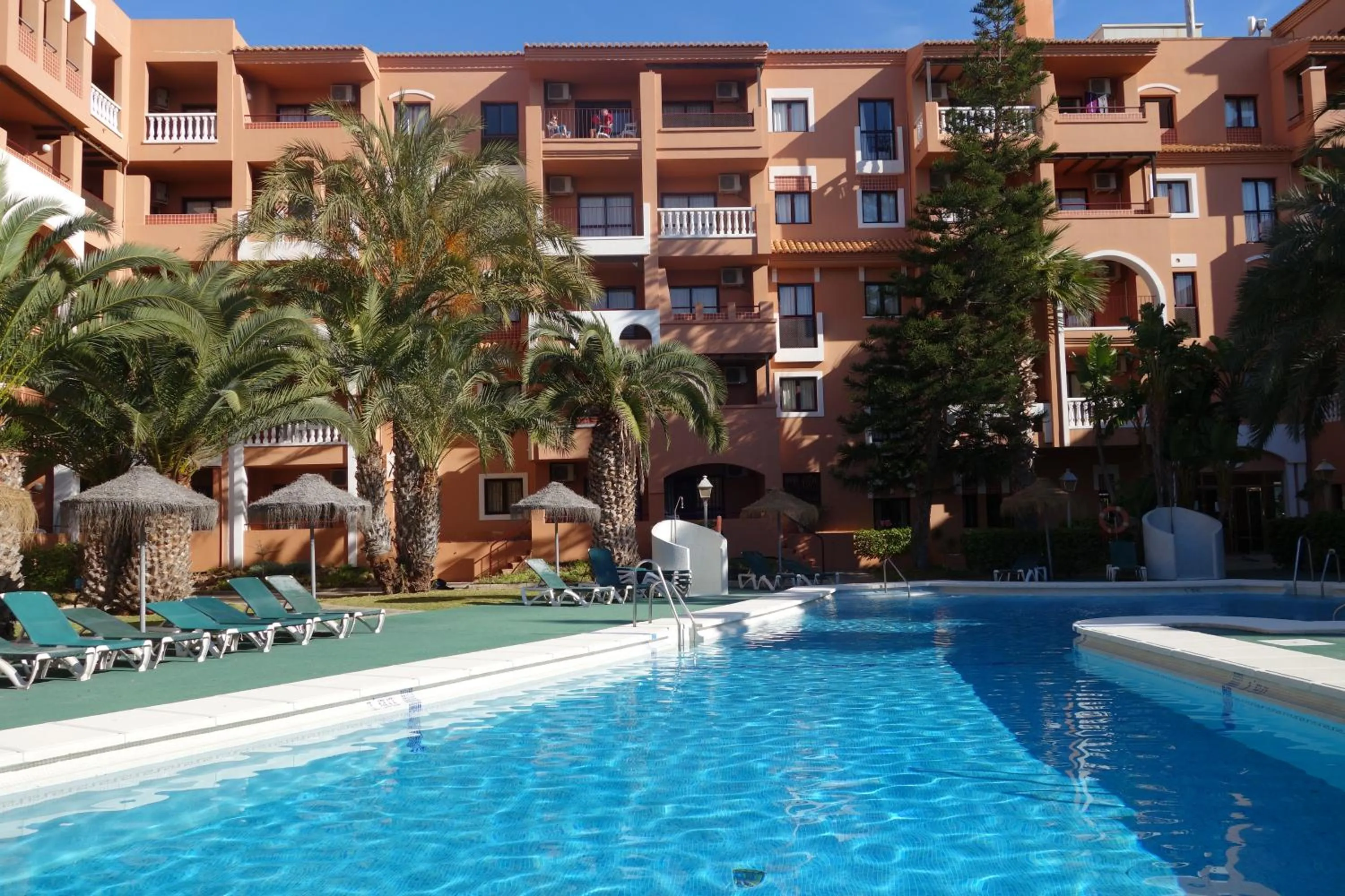 Garden in Apartamentos Estrella De Mar