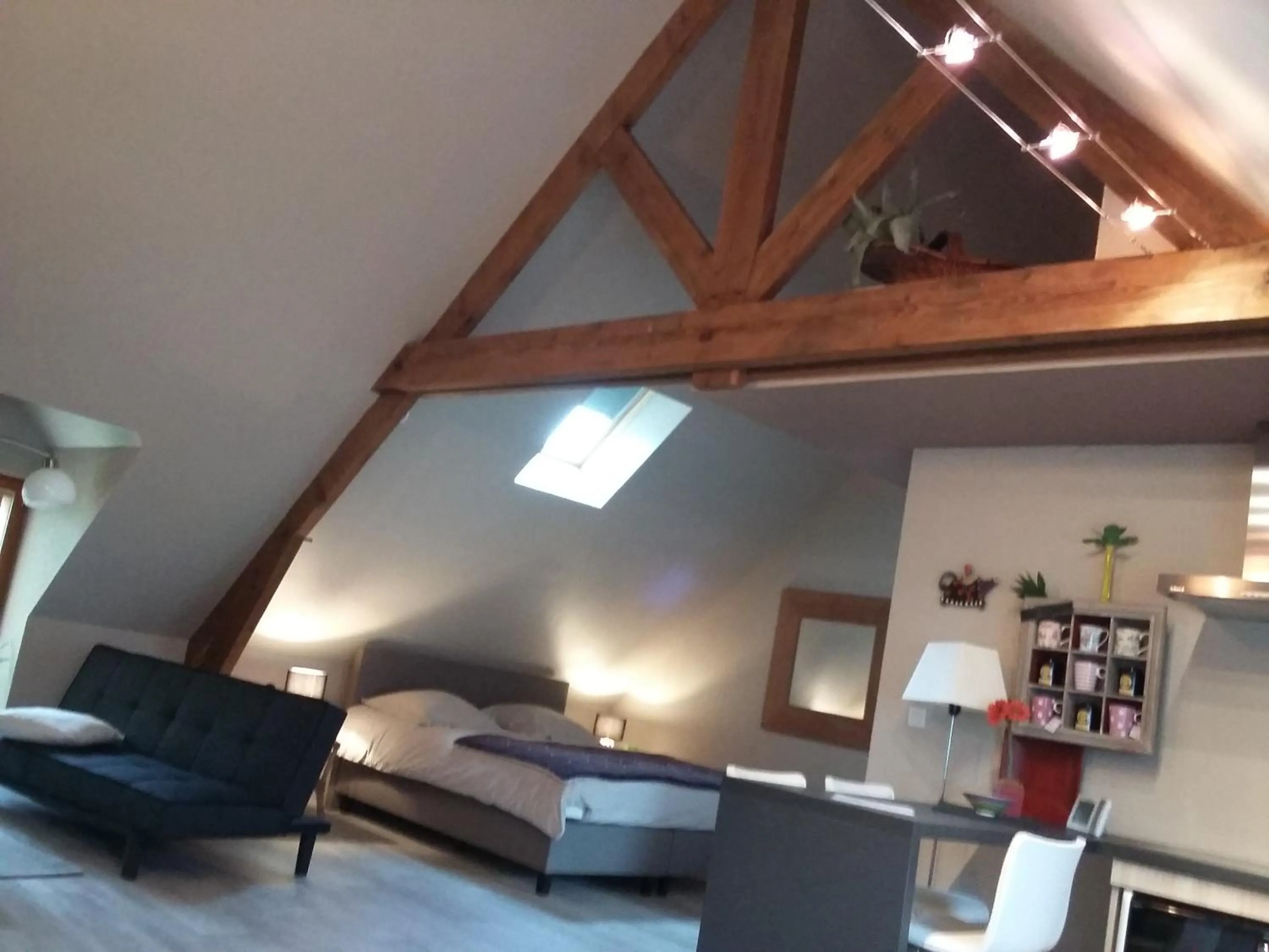 Photo of the whole room in Les Hauts de la Cluse