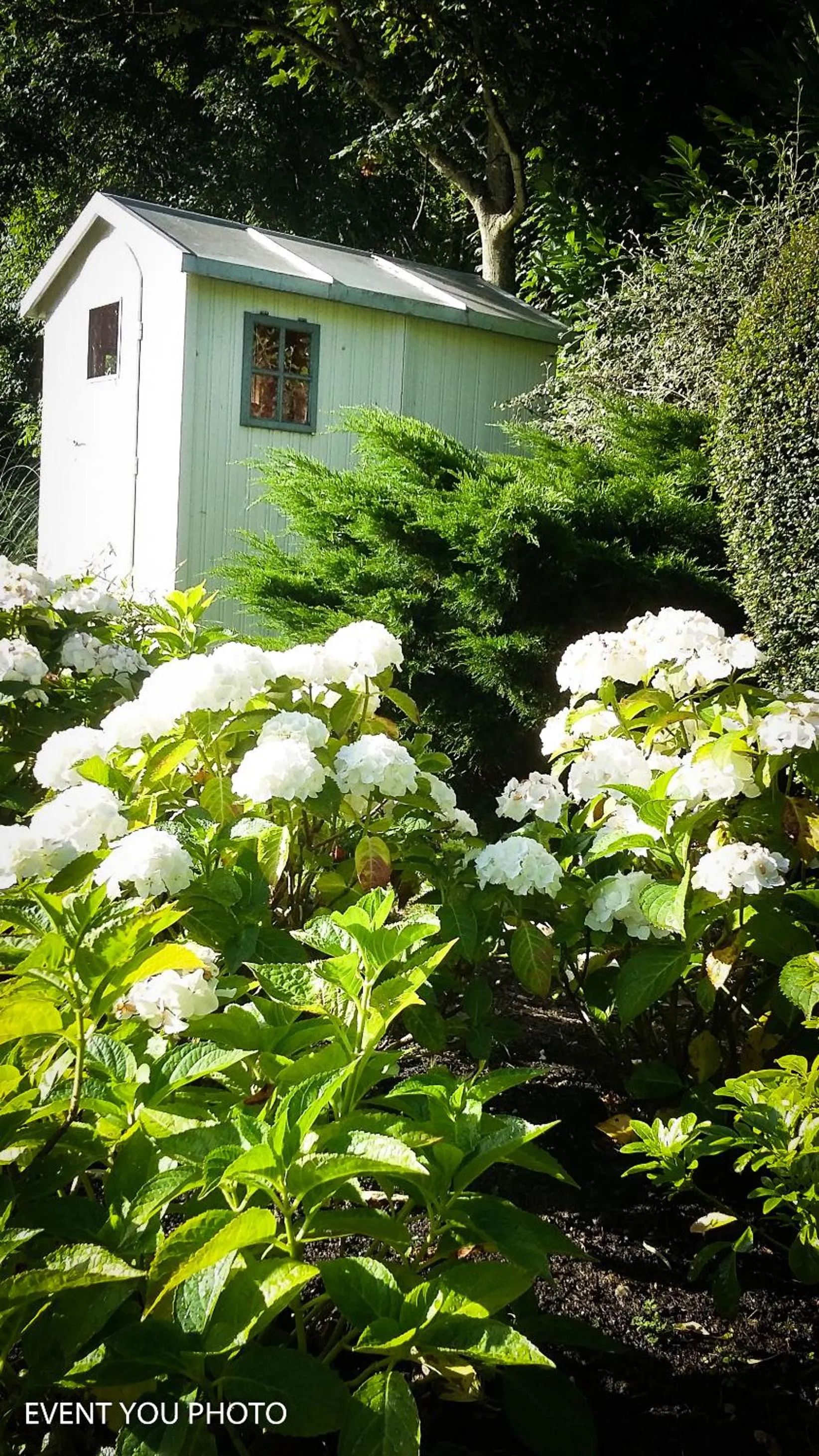 Spring in Les Hauts de la Cluse