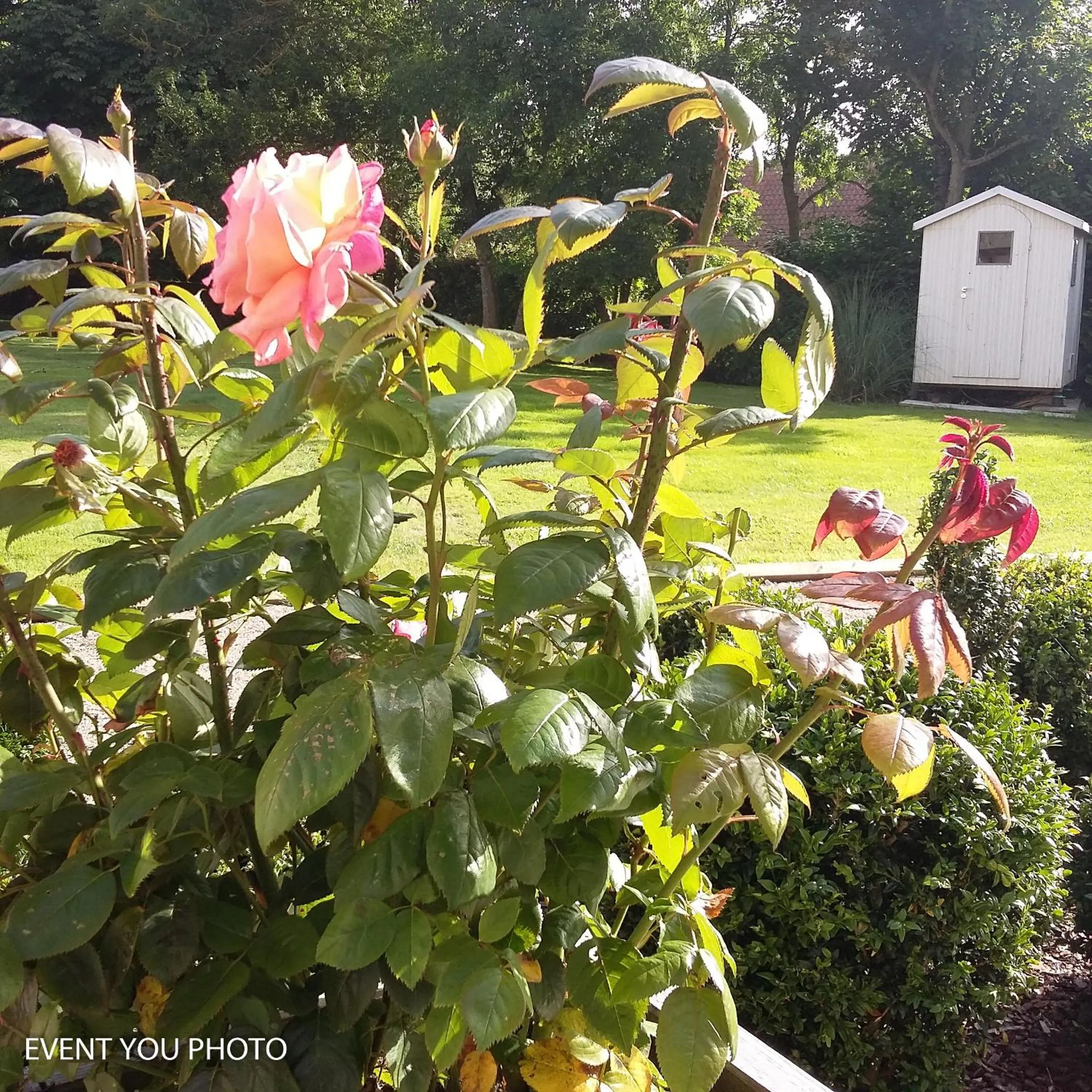 Spring in Les Hauts de la Cluse