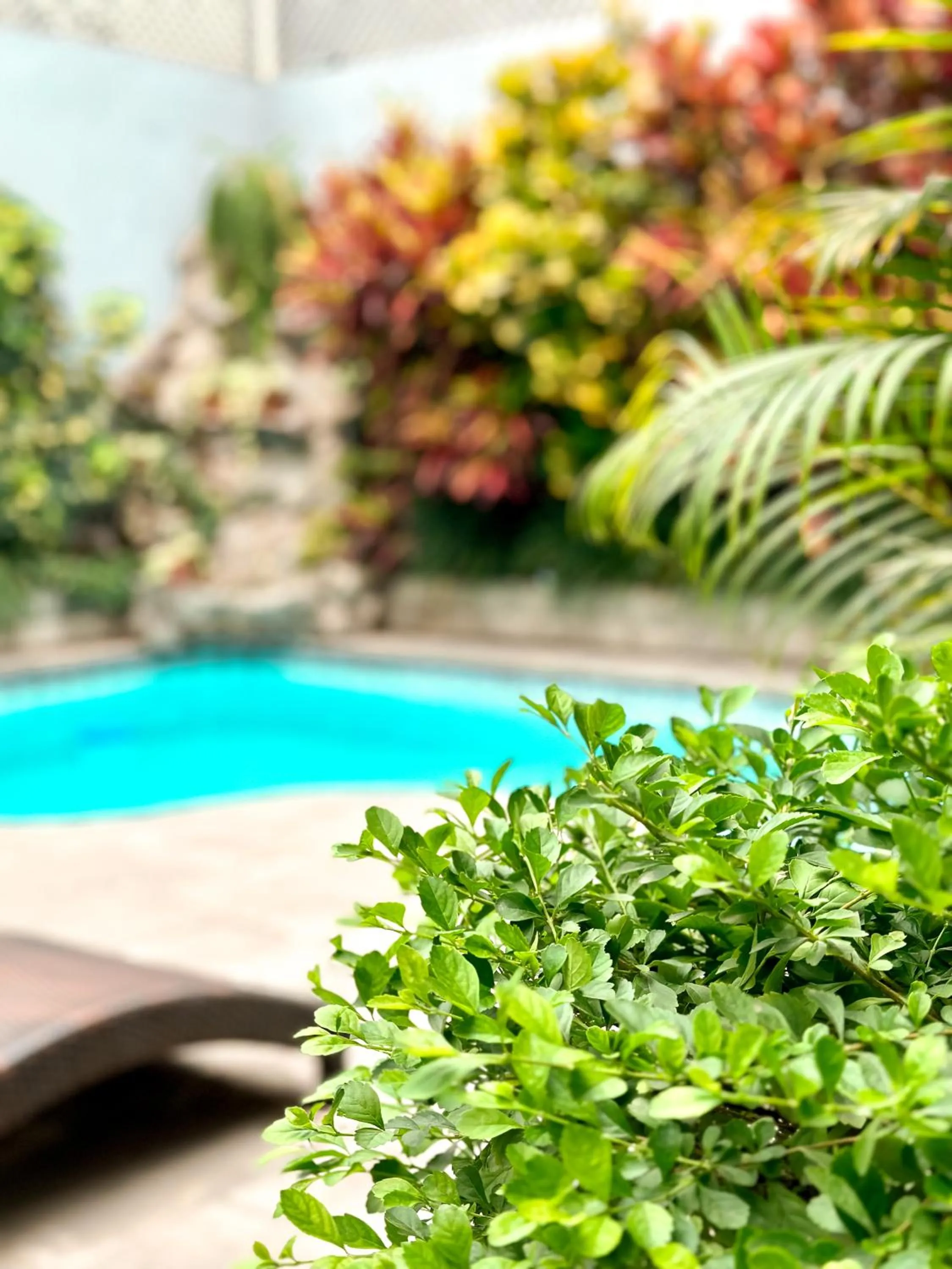 Balcony/Terrace in El Golf Hotel Boutique