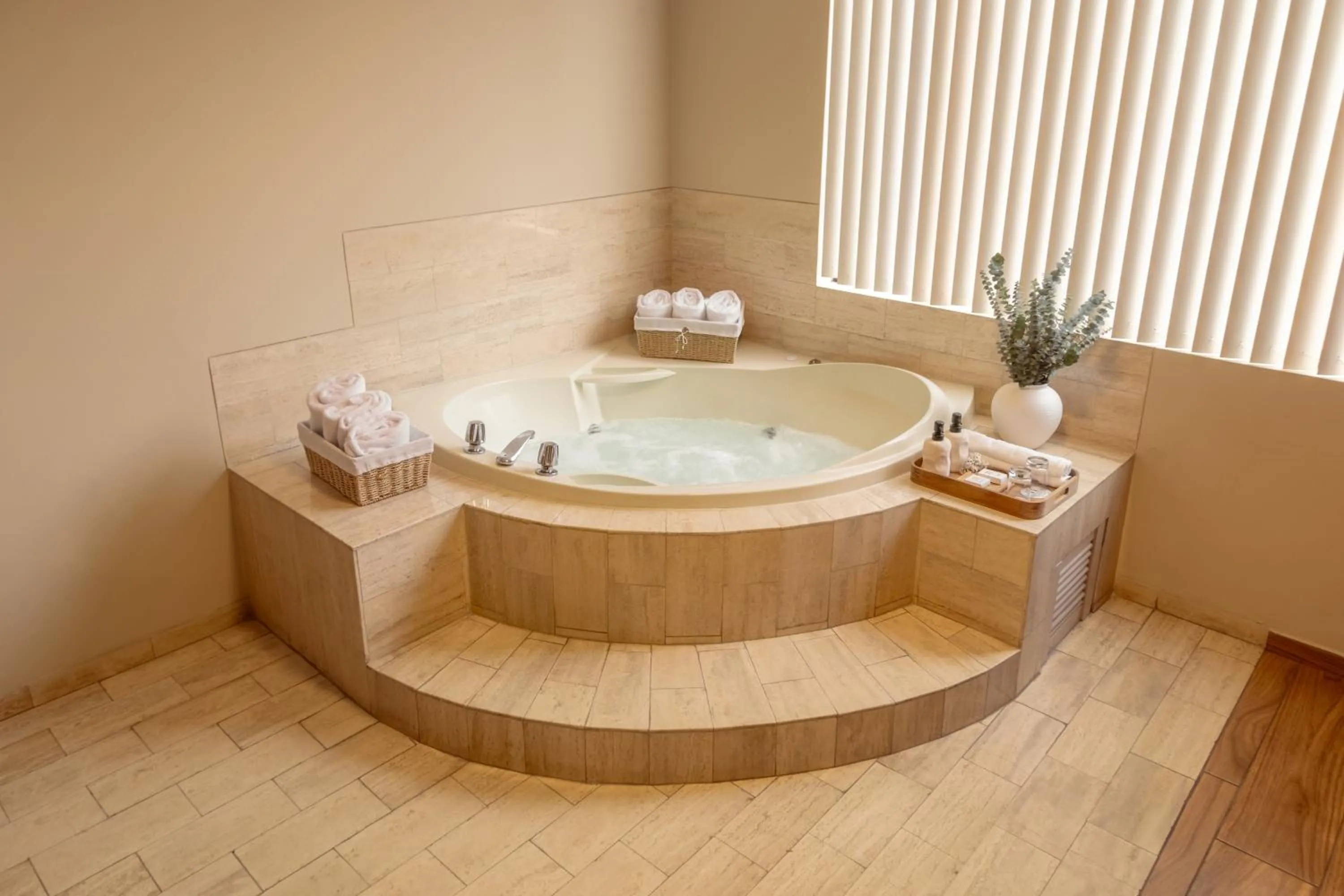 Hot Tub in Hotel Park Suites