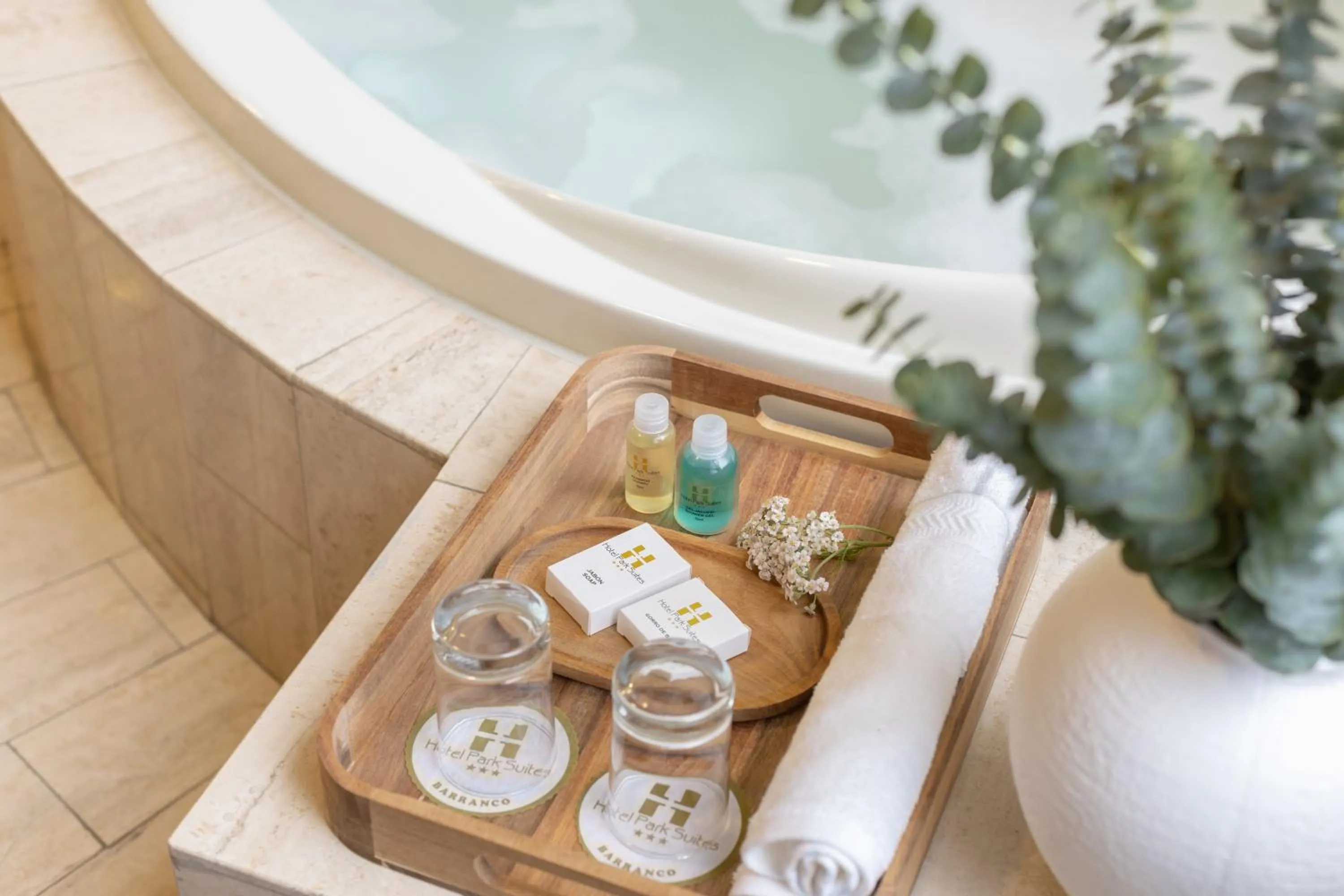 Hot Tub in Hotel Park Suites