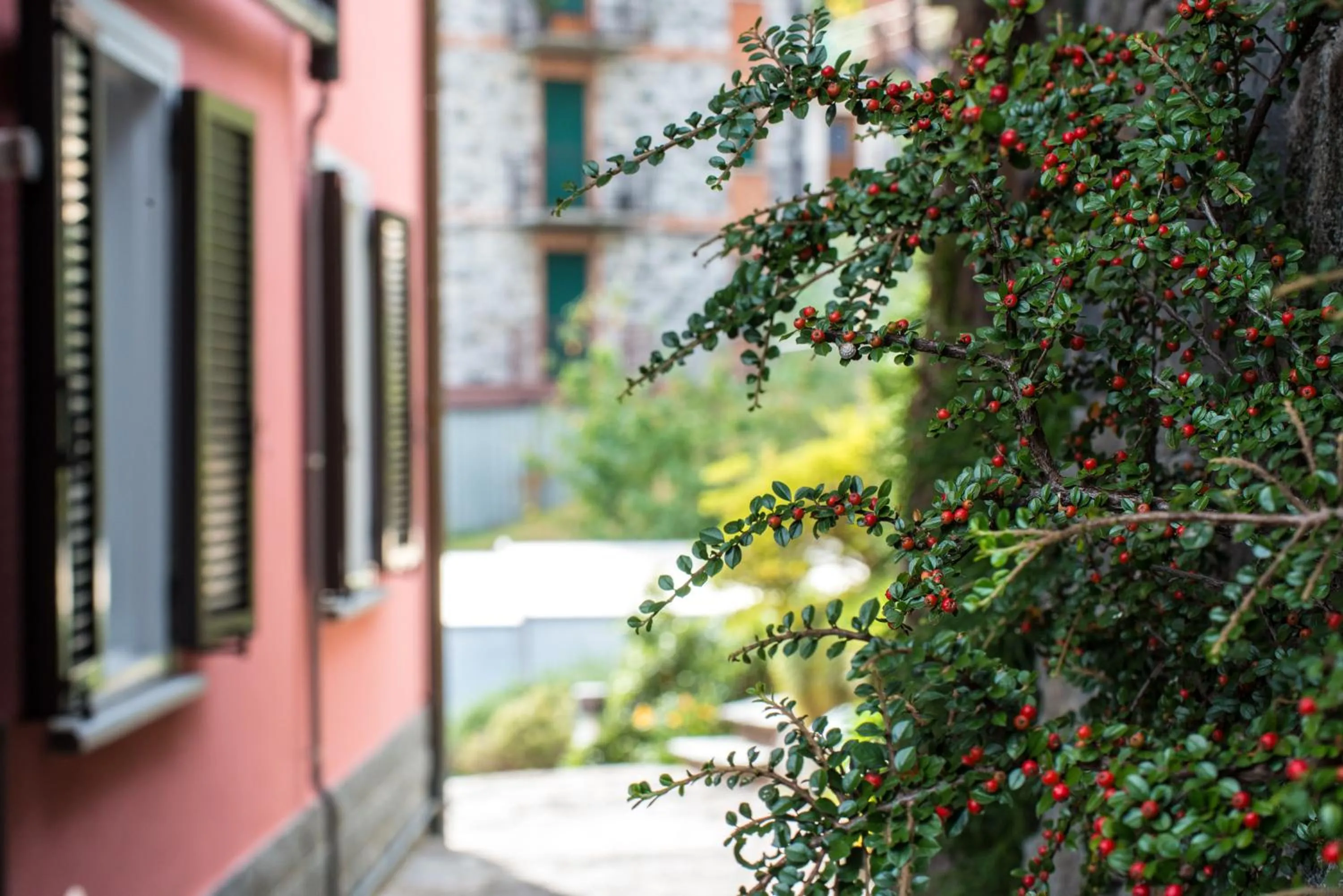 Decorative detail in Residence Casa Rosa