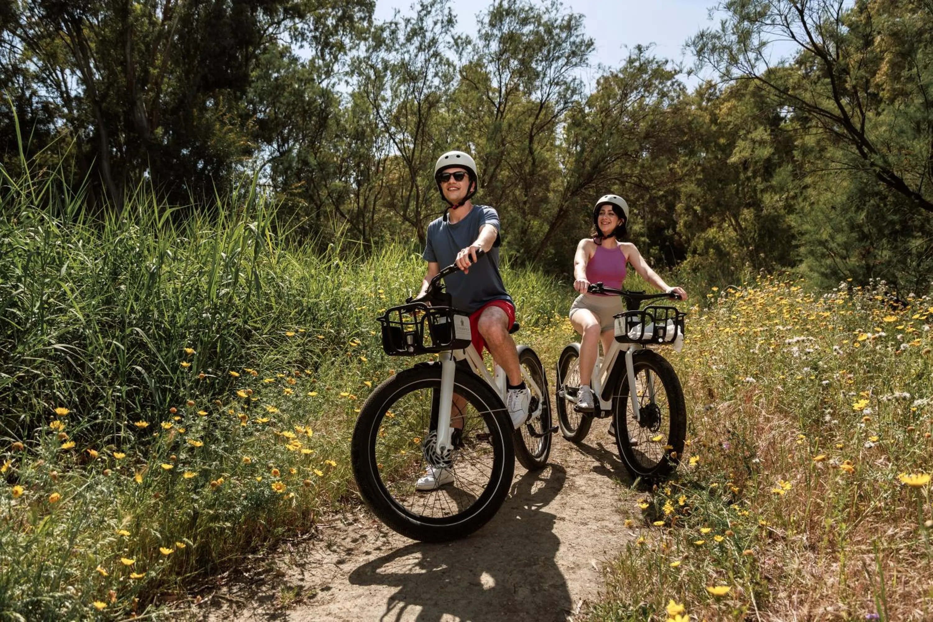 Luna Minoica Suites and Apartments