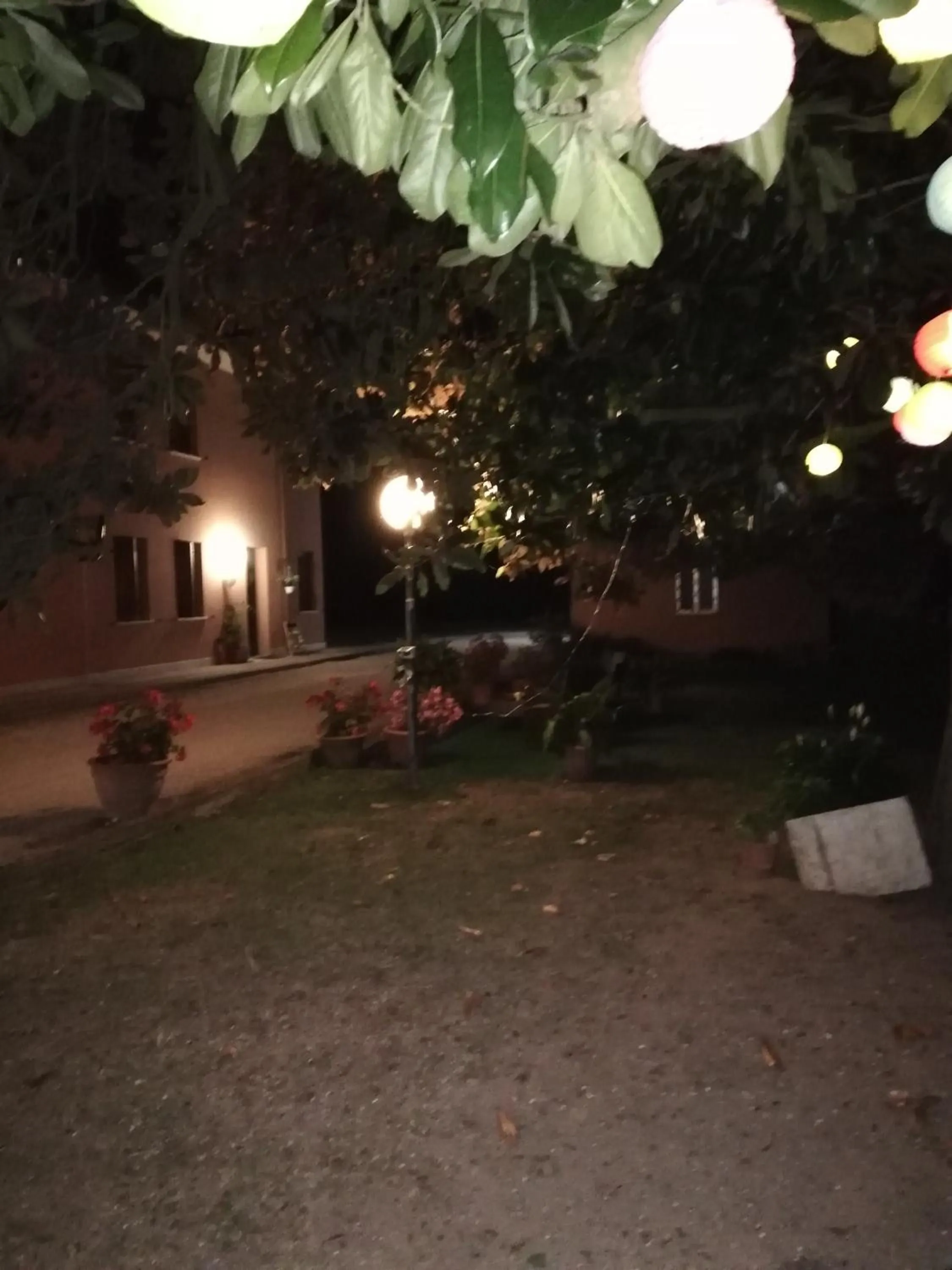 Garden in Quo Vadis Qui Vieni