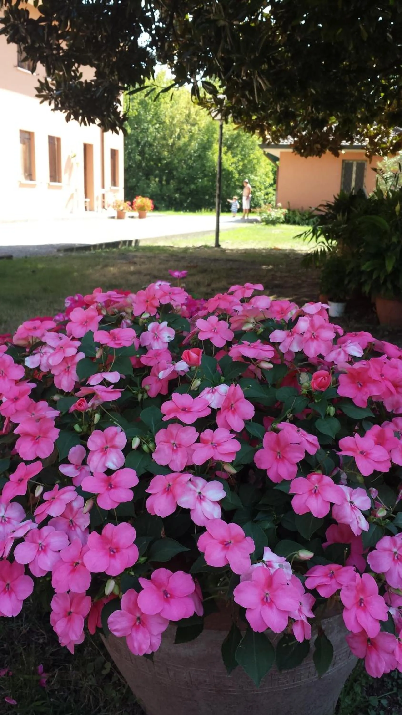 Garden view in Quo Vadis Qui Vieni
