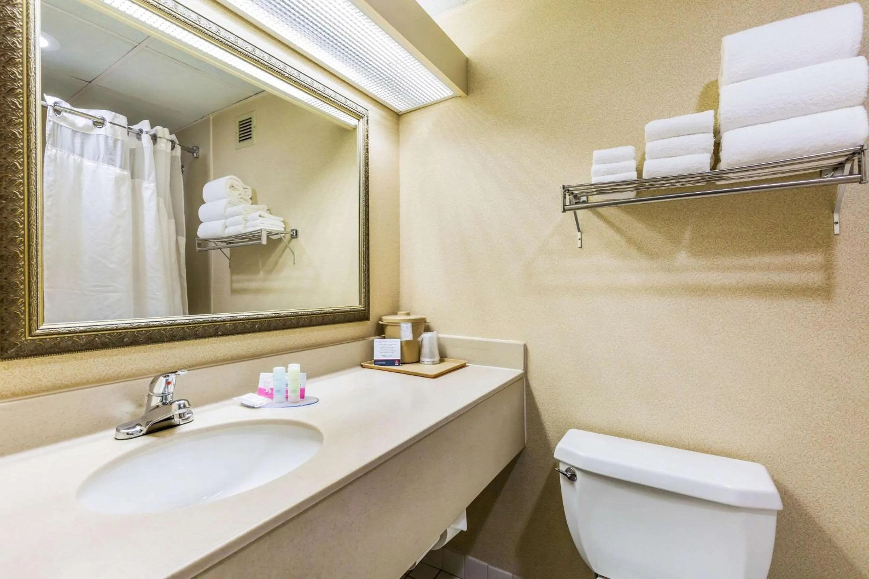 Bedroom in Clarion Inn Frederick Event Center