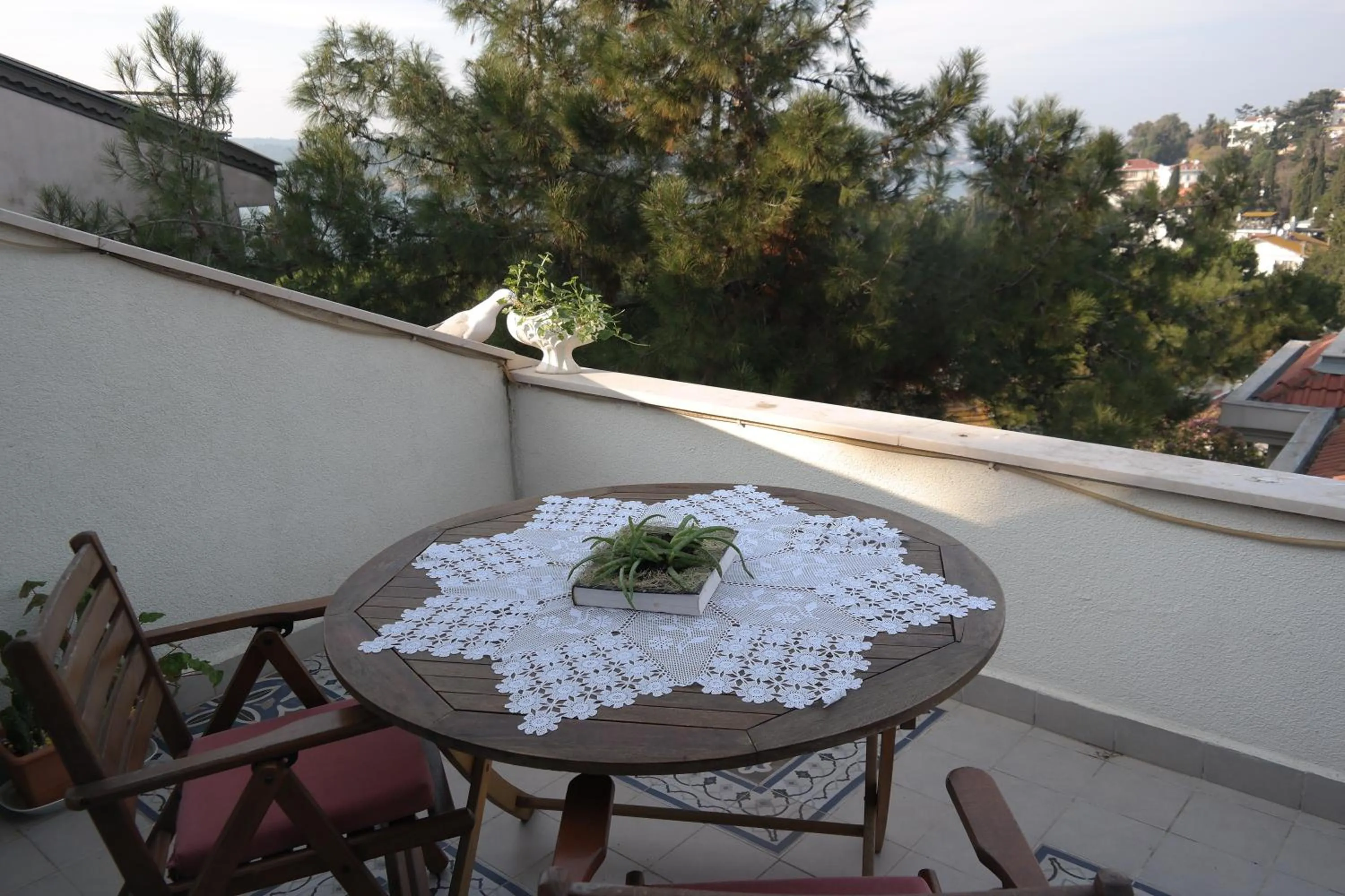 Garden view in Aşıklar Otel By Şükrü