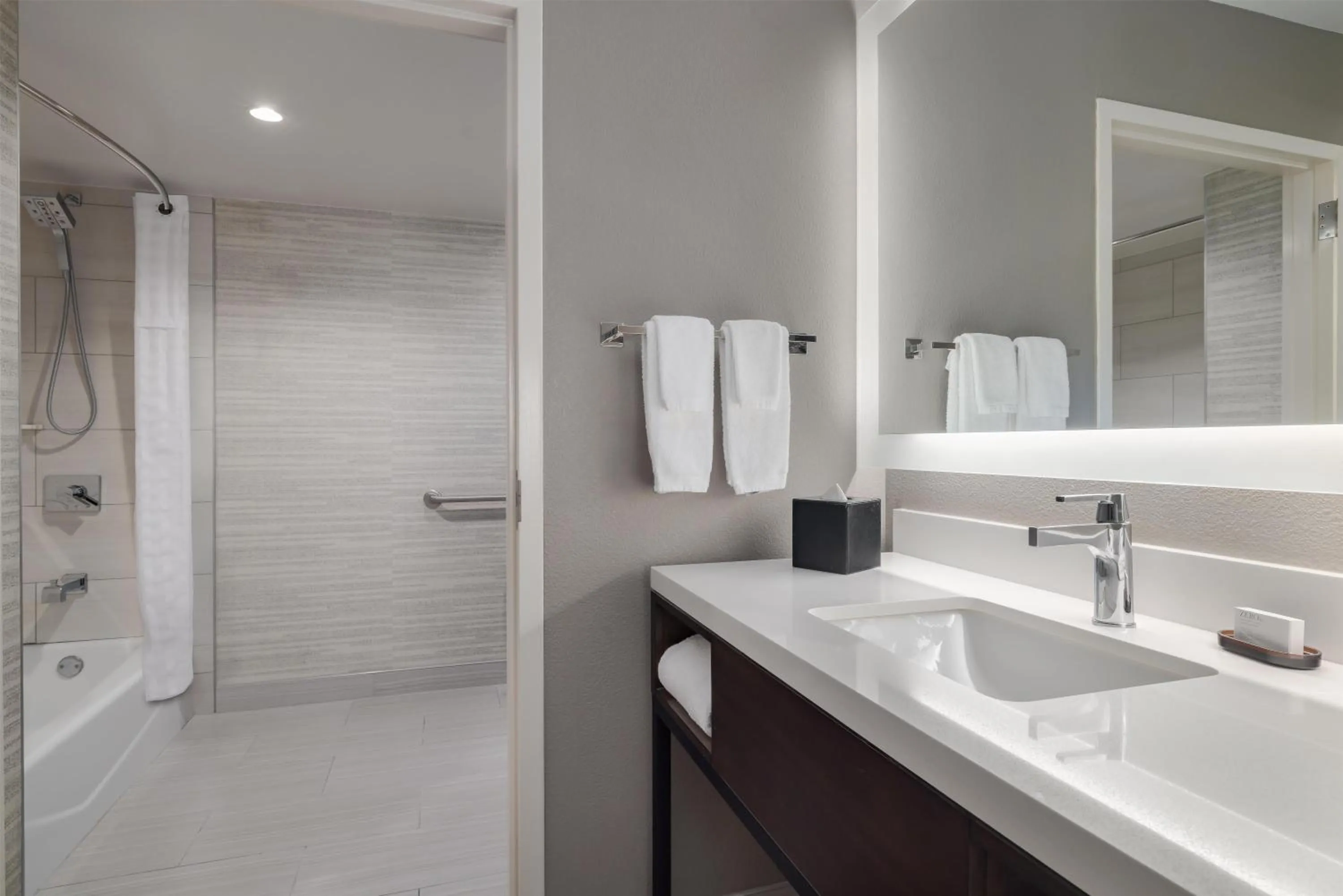 Bathroom in Embassy Suites by Hilton Laredo